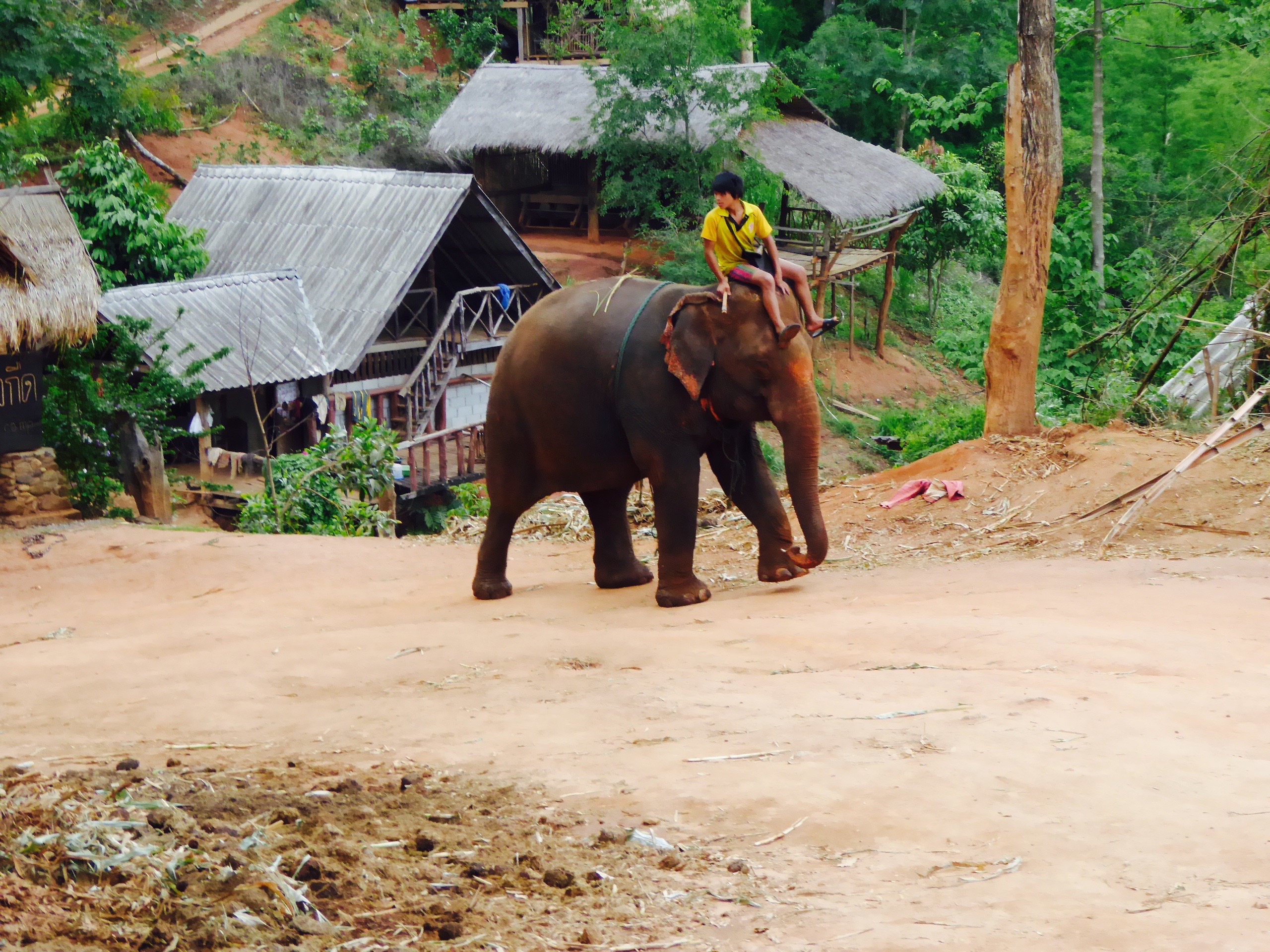 Chiang Mai blog voyage trek