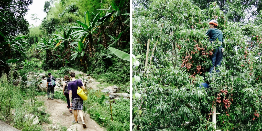 Chiang Mai blog voyage trek