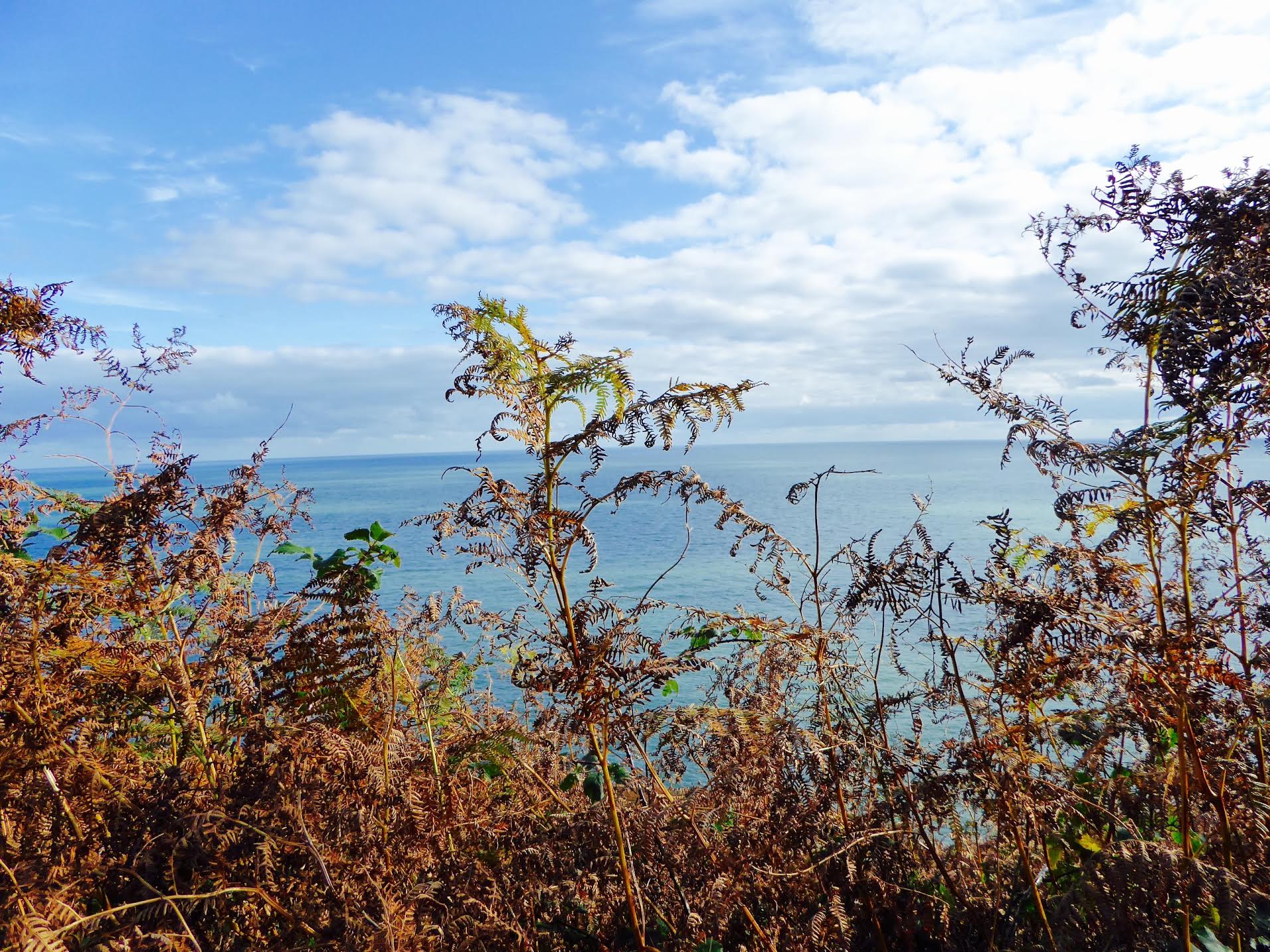 île d'Howth