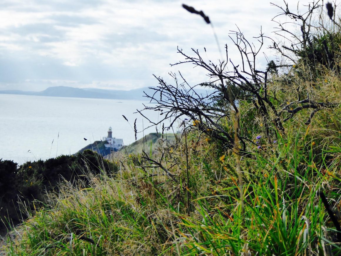 Howth irlande blog voyage