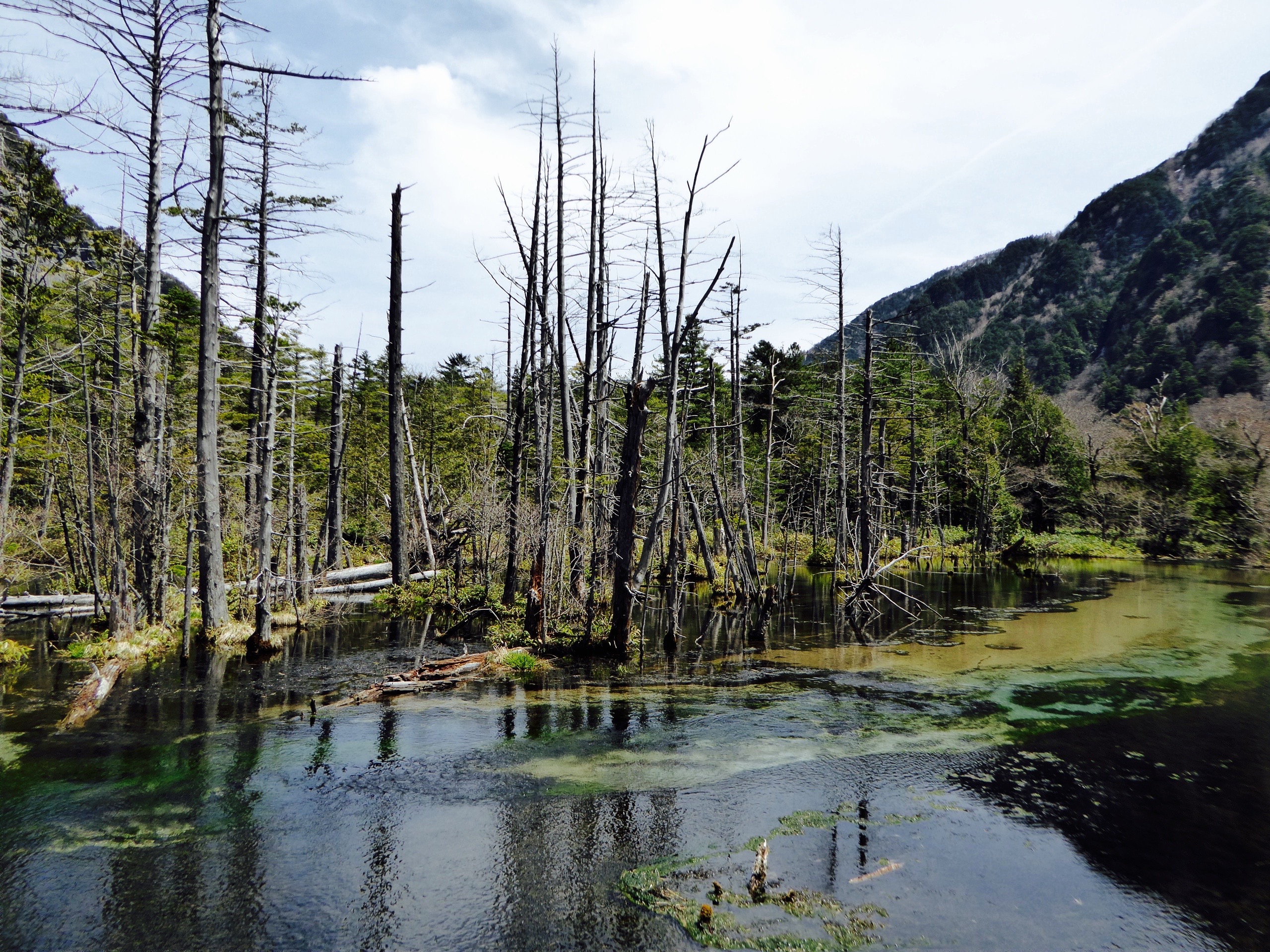 blog voyage kamikochi et les Alpes Japonaise