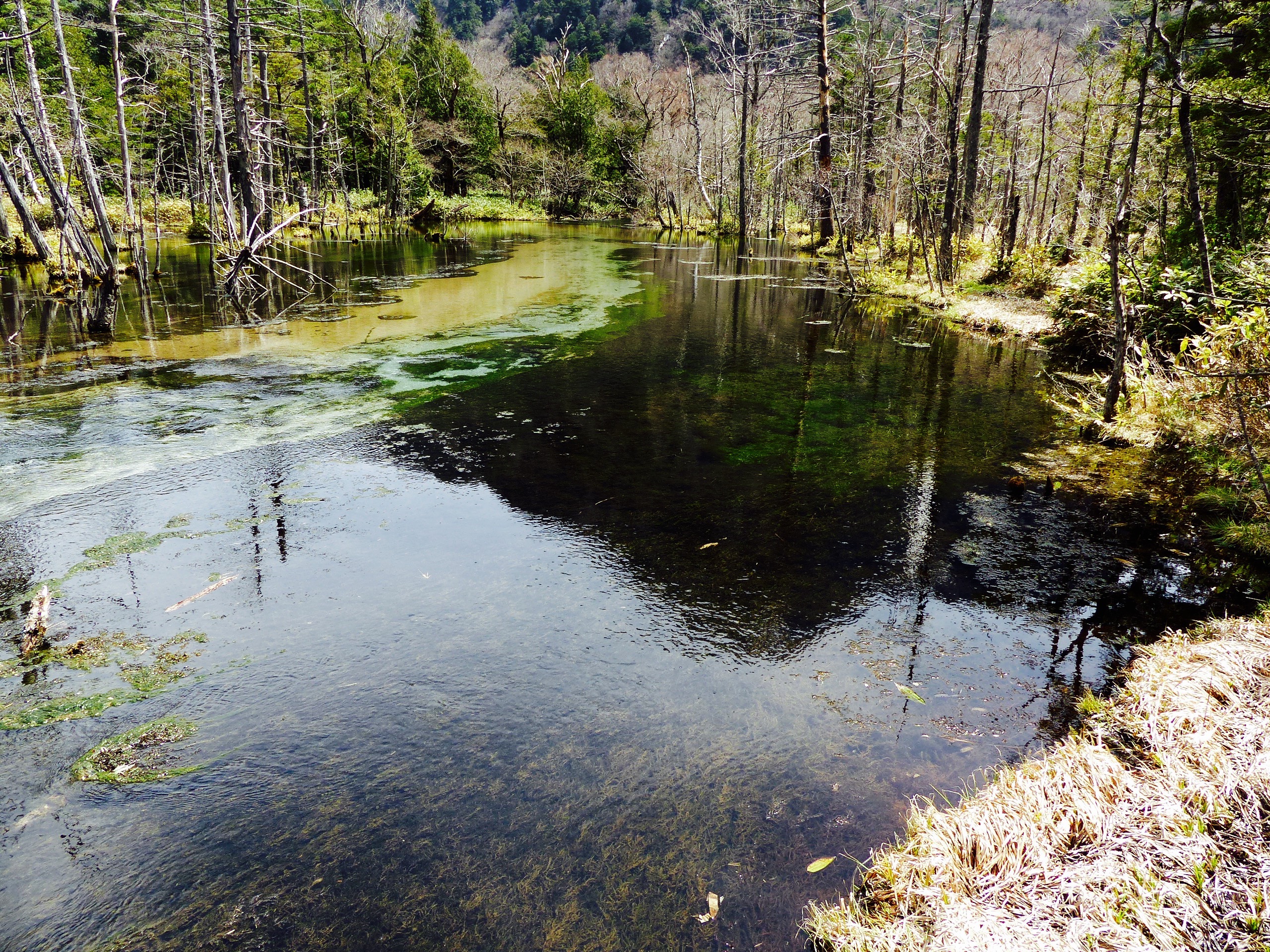 15 photos pour découvrir Kamikochi et les Alpes Japonaises