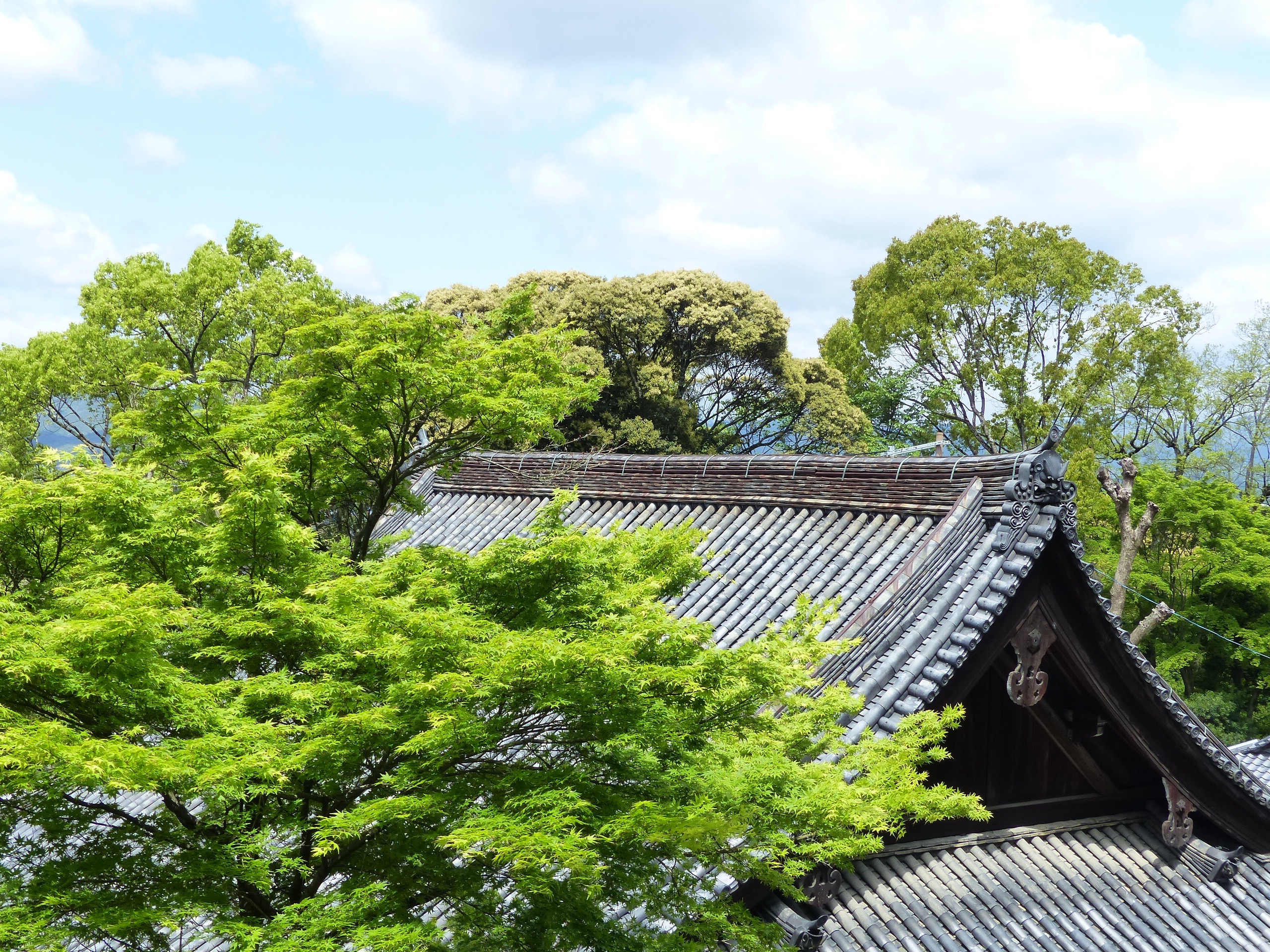 Kyoto blog voyage japon