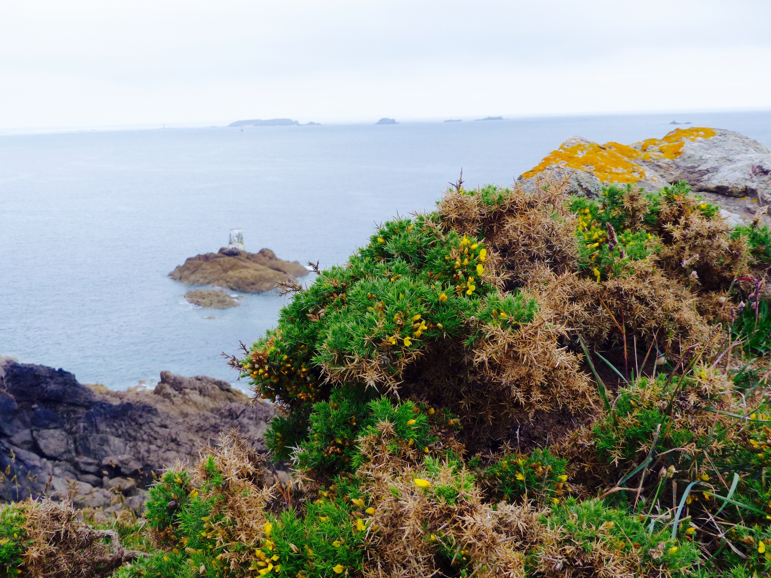 blog voyage itinéraire vélo saint-malo cancale