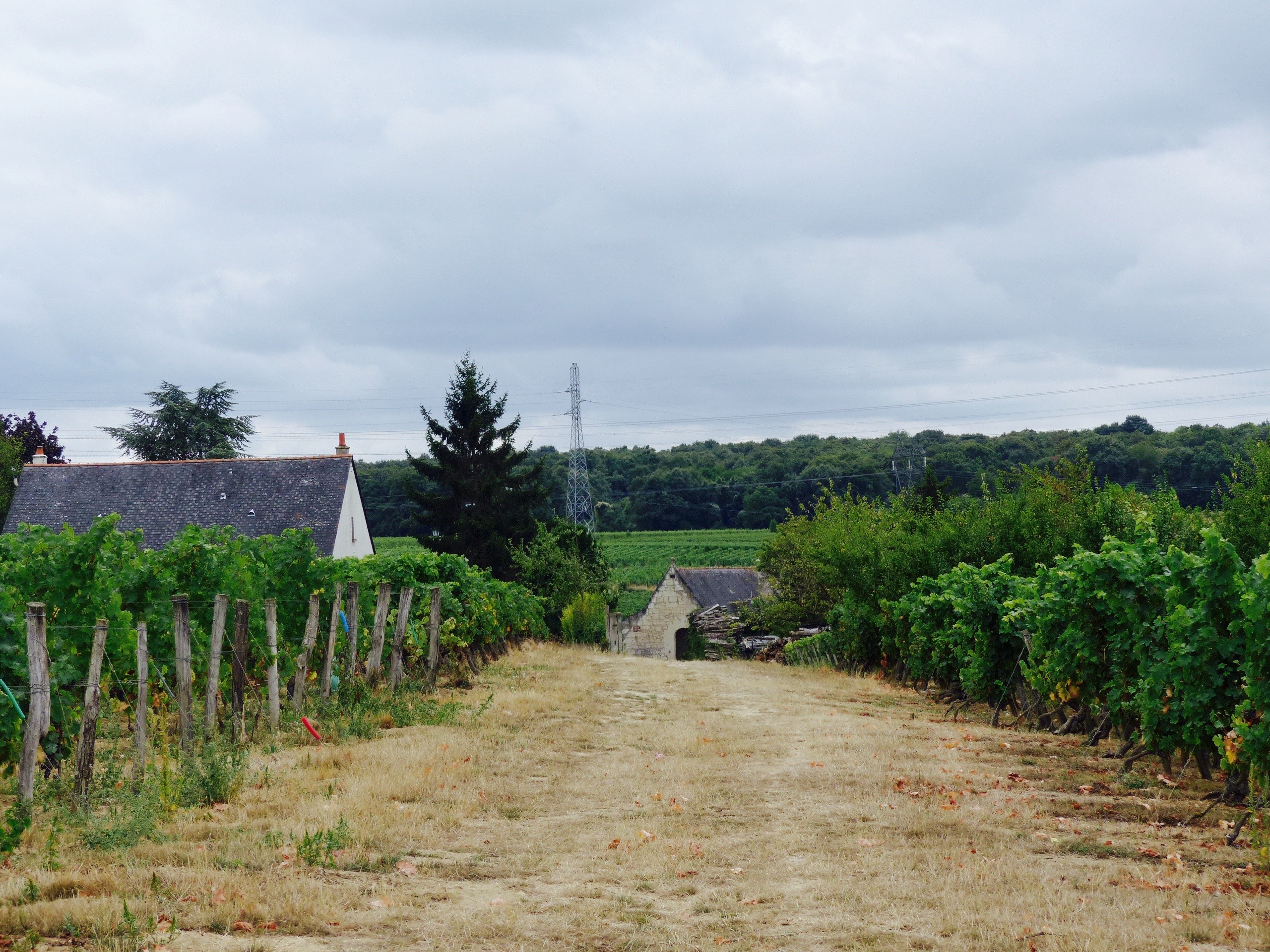 château de la loire blog voyage