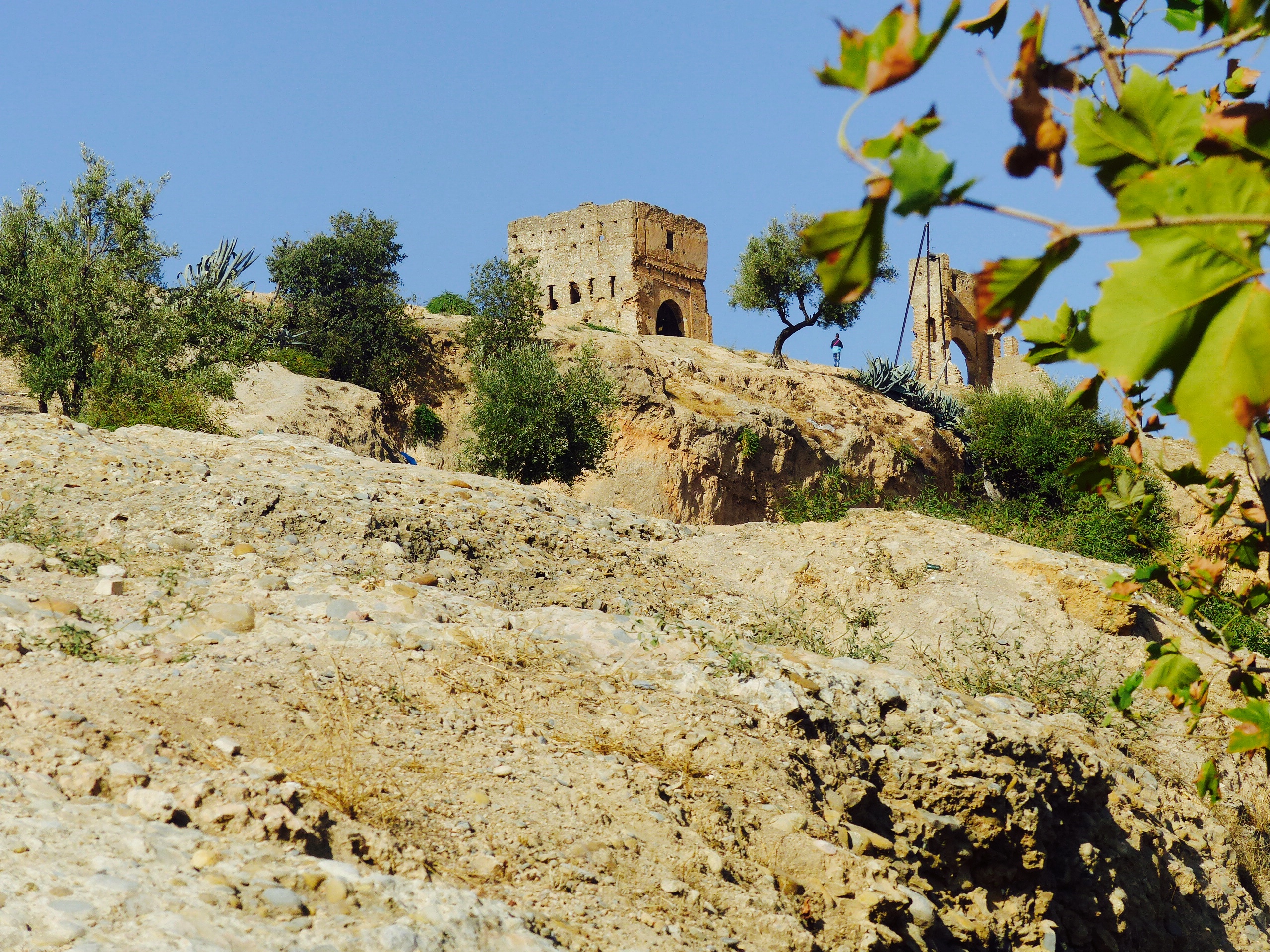 blog voyage à Fès