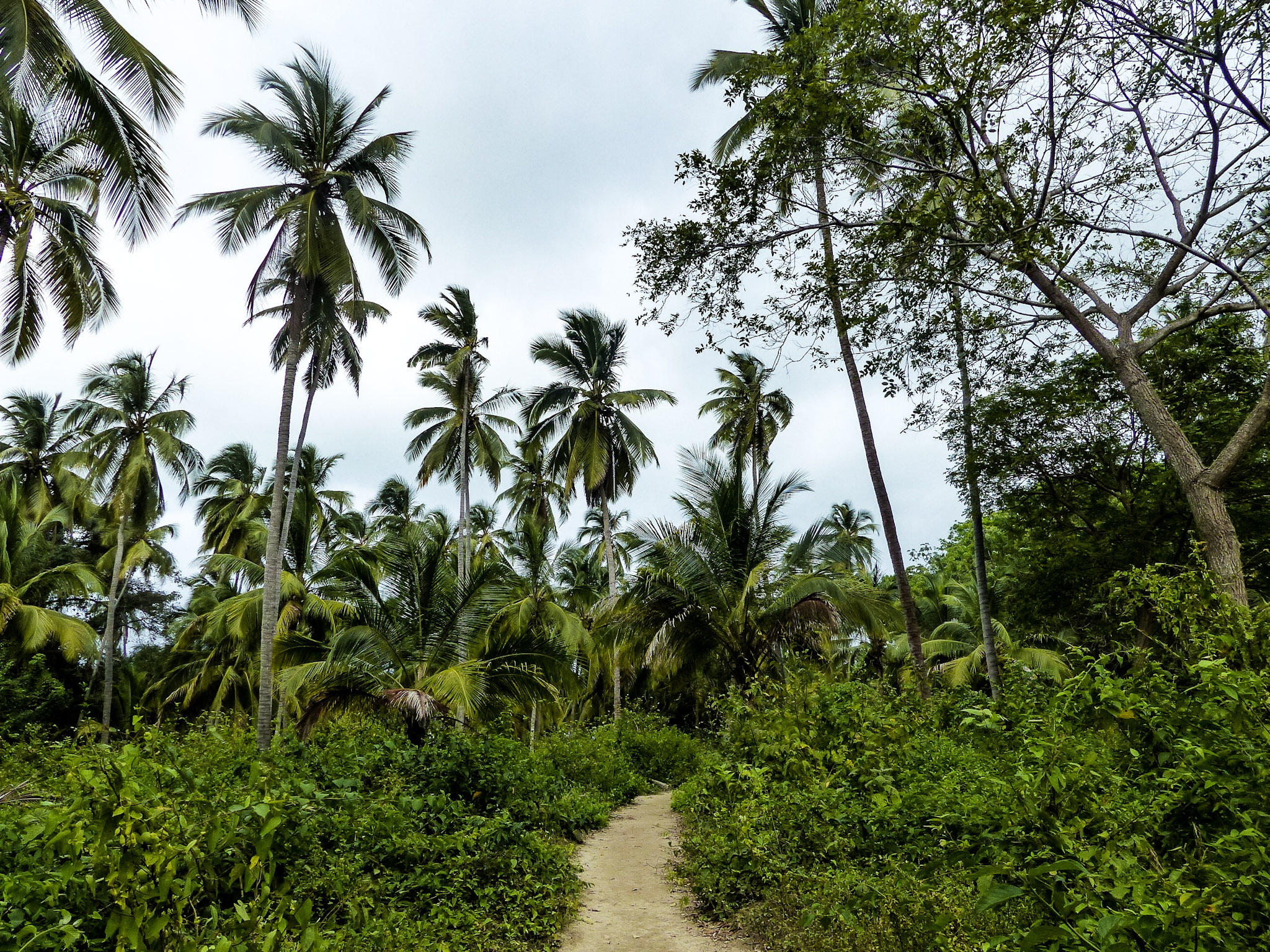 Blog voyage Colombie Tayrona