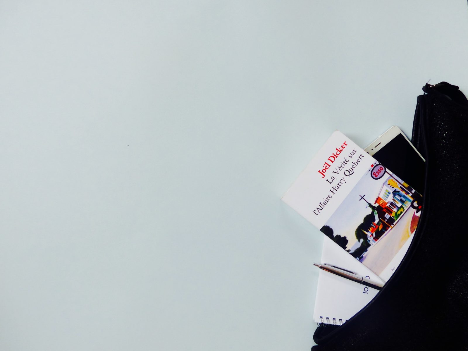 Lecture la vérité sur l'affaire harry québert