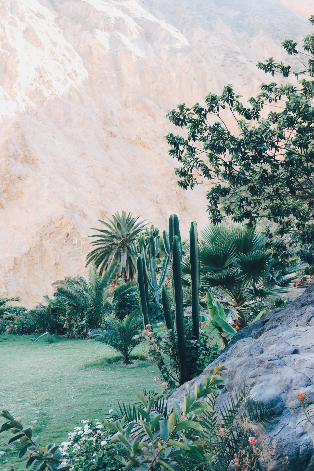 trek canyon de colca 3 jours sans guide