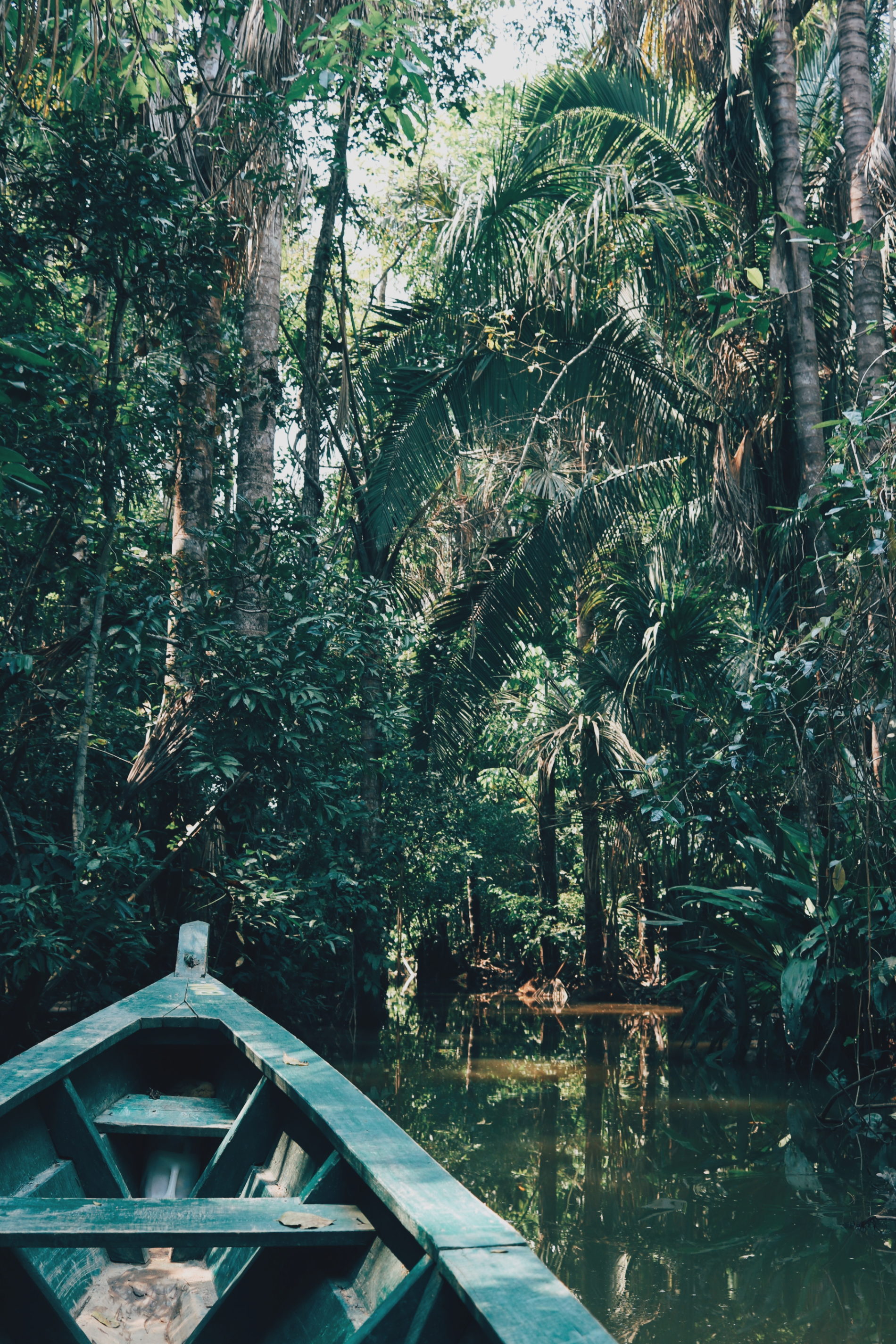 Blog voyage Amazonie Pérou Puerto Maldonado