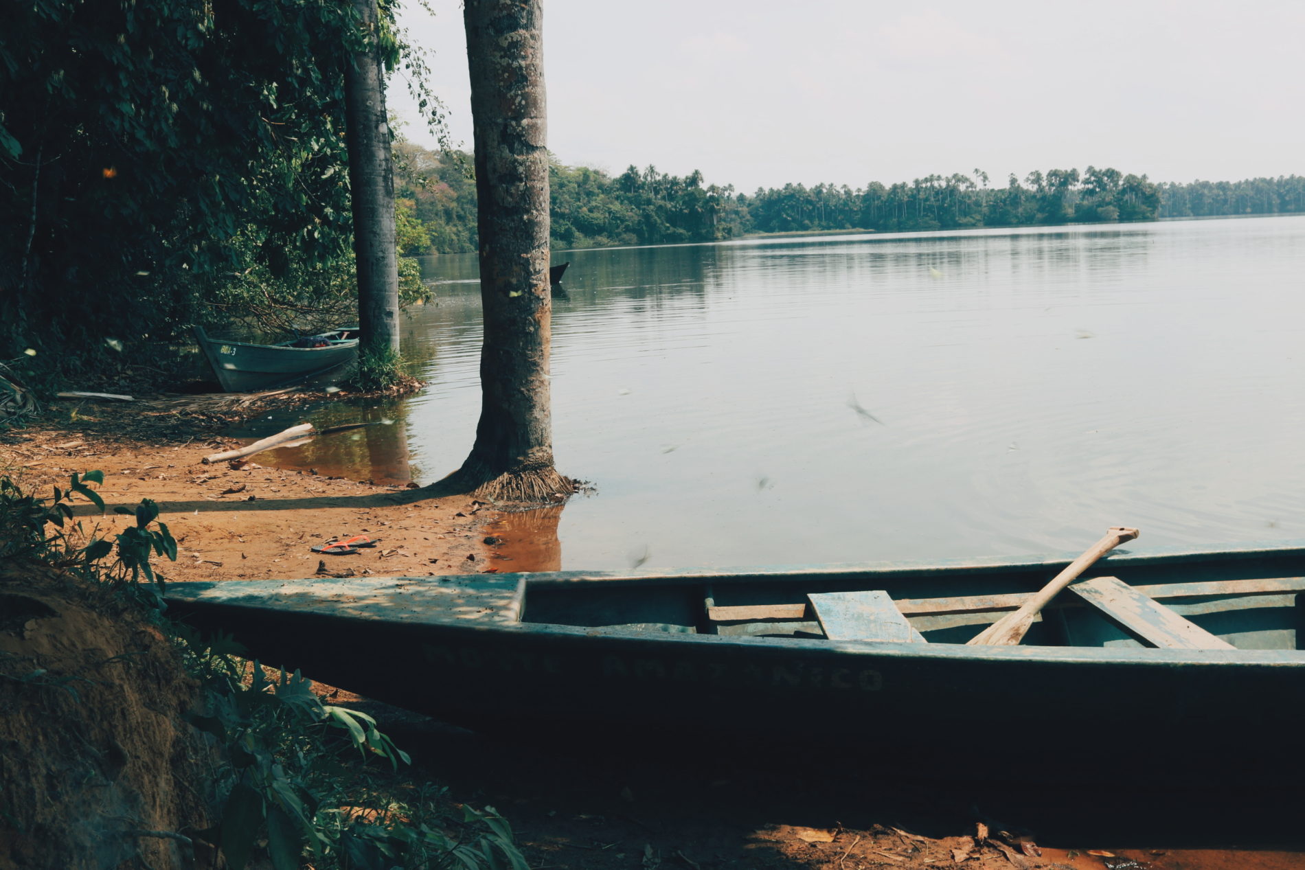 Blog voyage Amazonie Pérou Puerto Maldonado