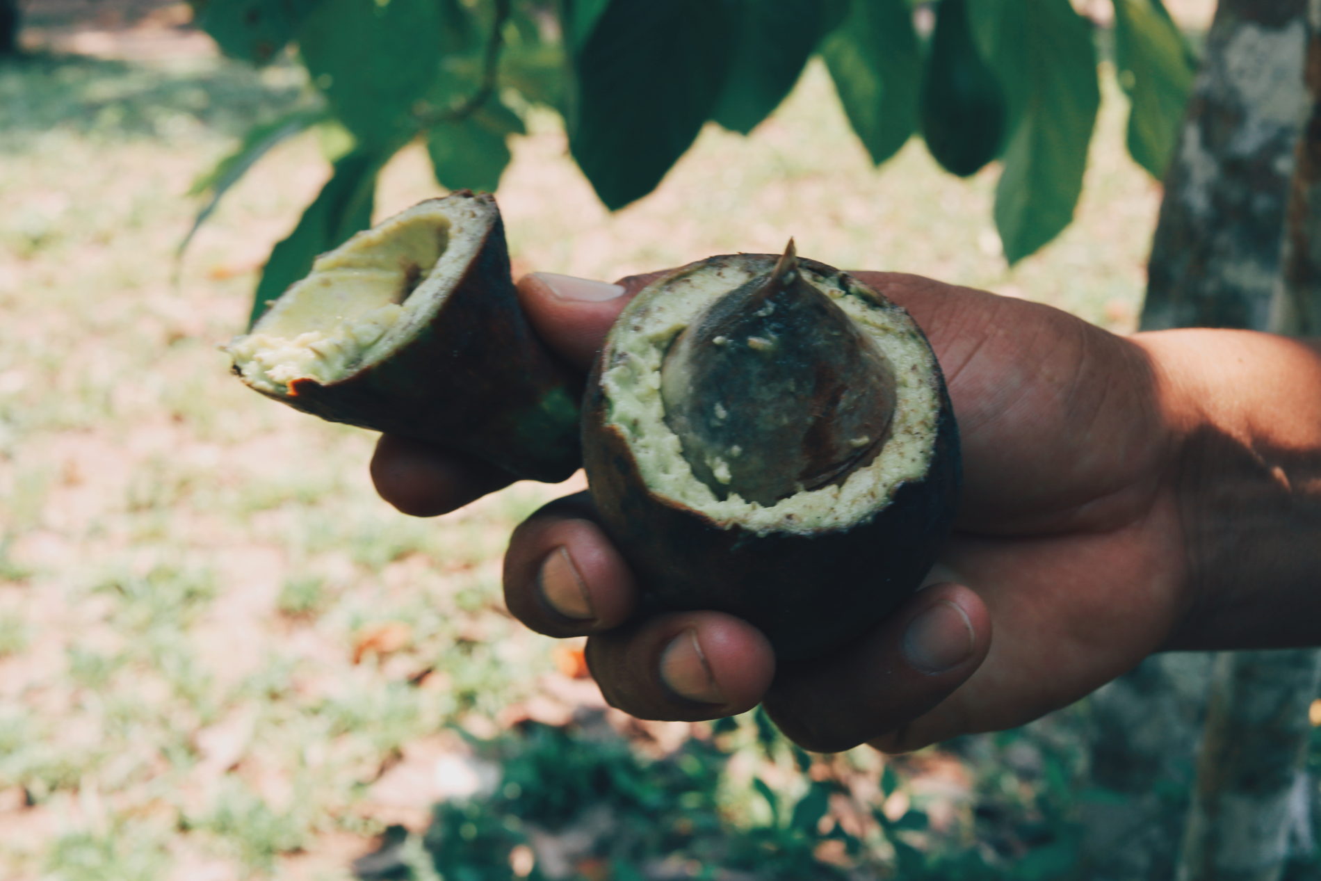 Blog voyage Amazonie Pérou Puerto Maldonado