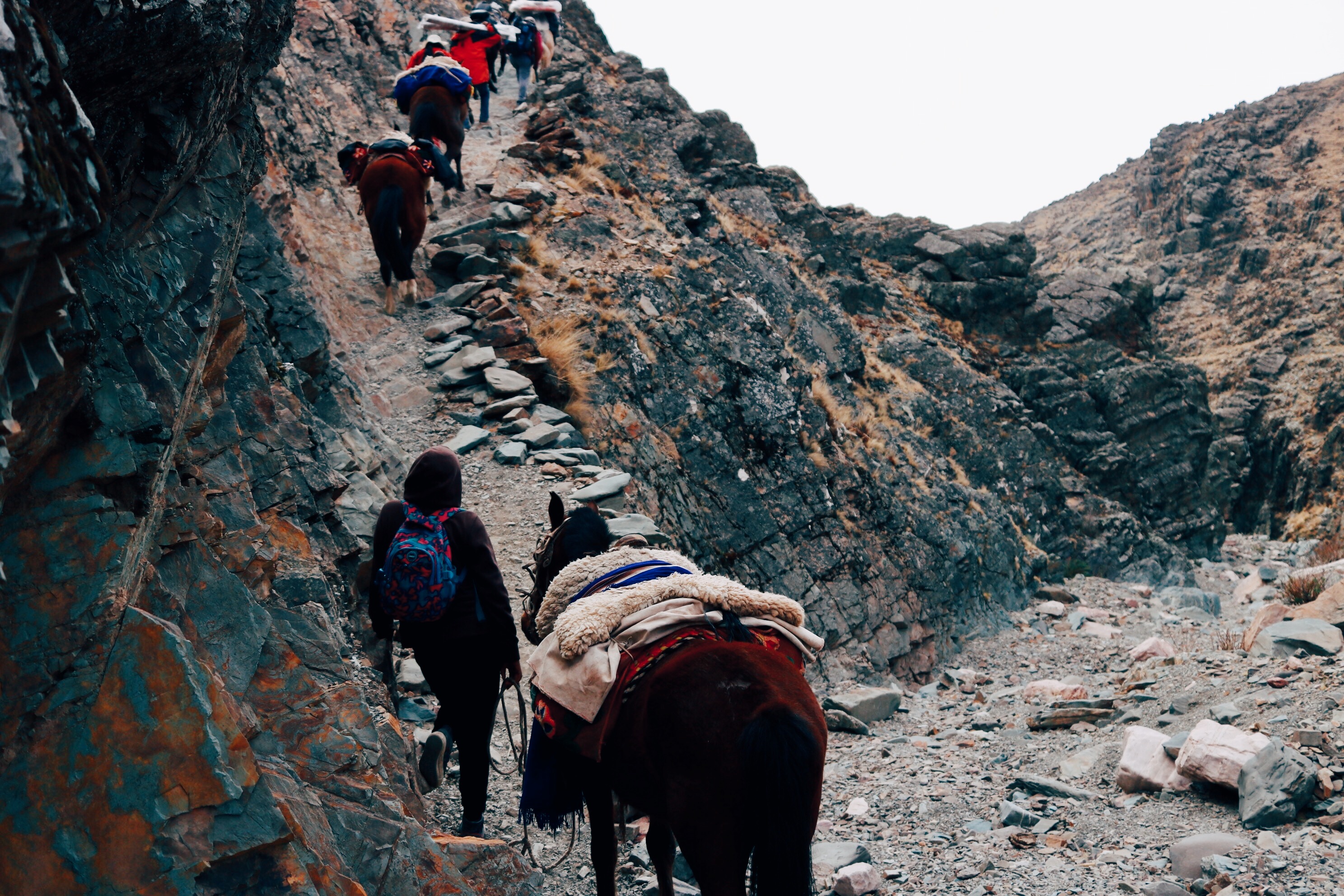 Trek Tilcara San Francisco Argentine