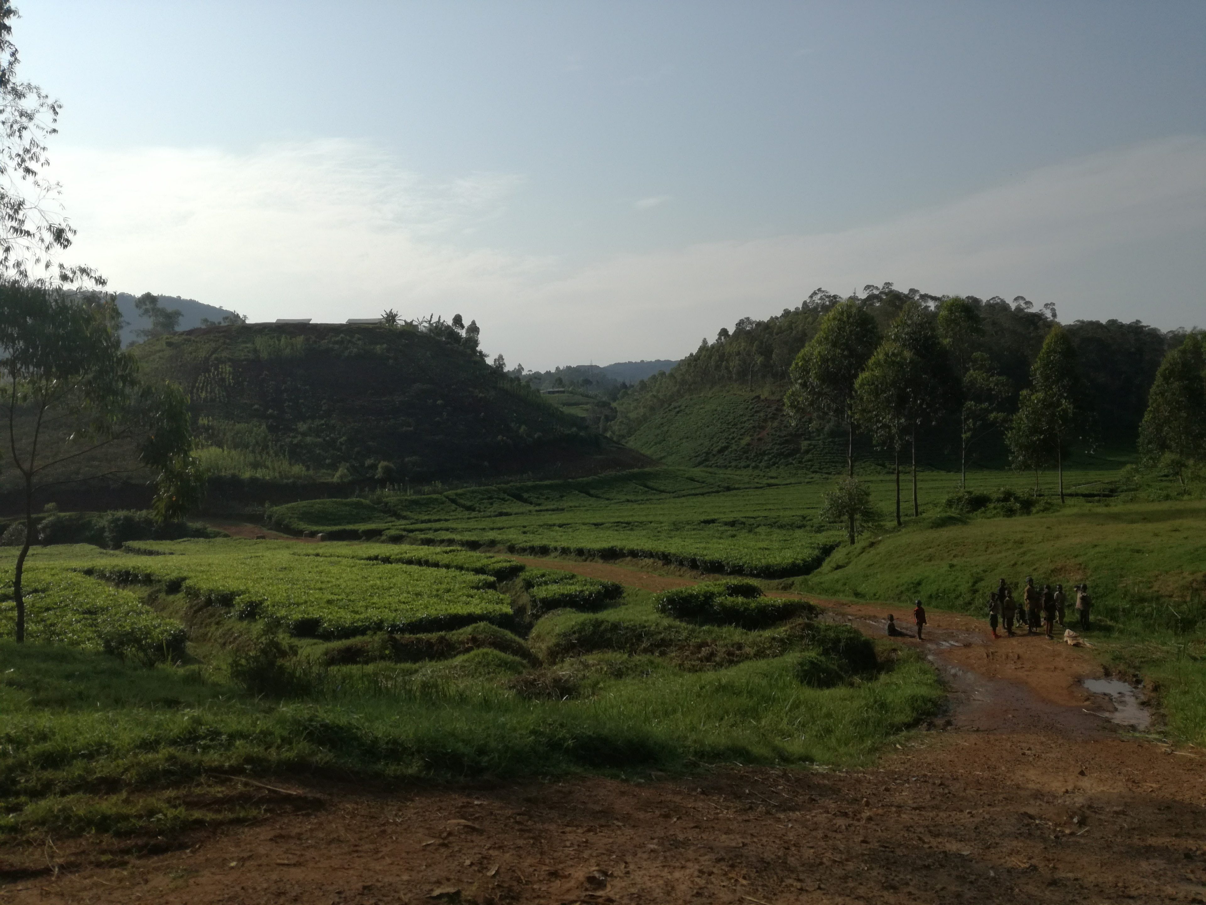 Blog voyage Rwanda Joli Tropissme