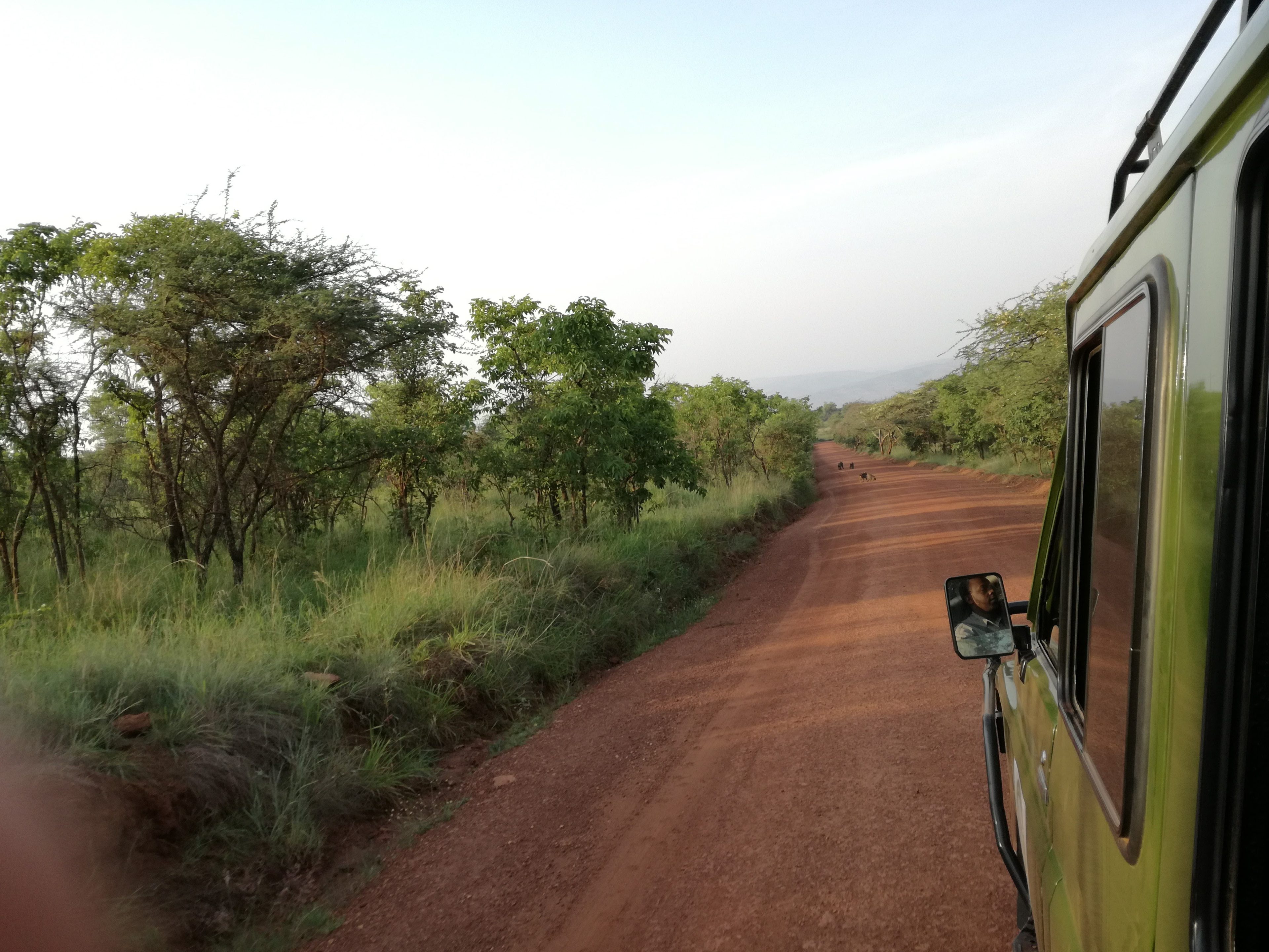 Blog voyage Rwanda Joli Tropisme