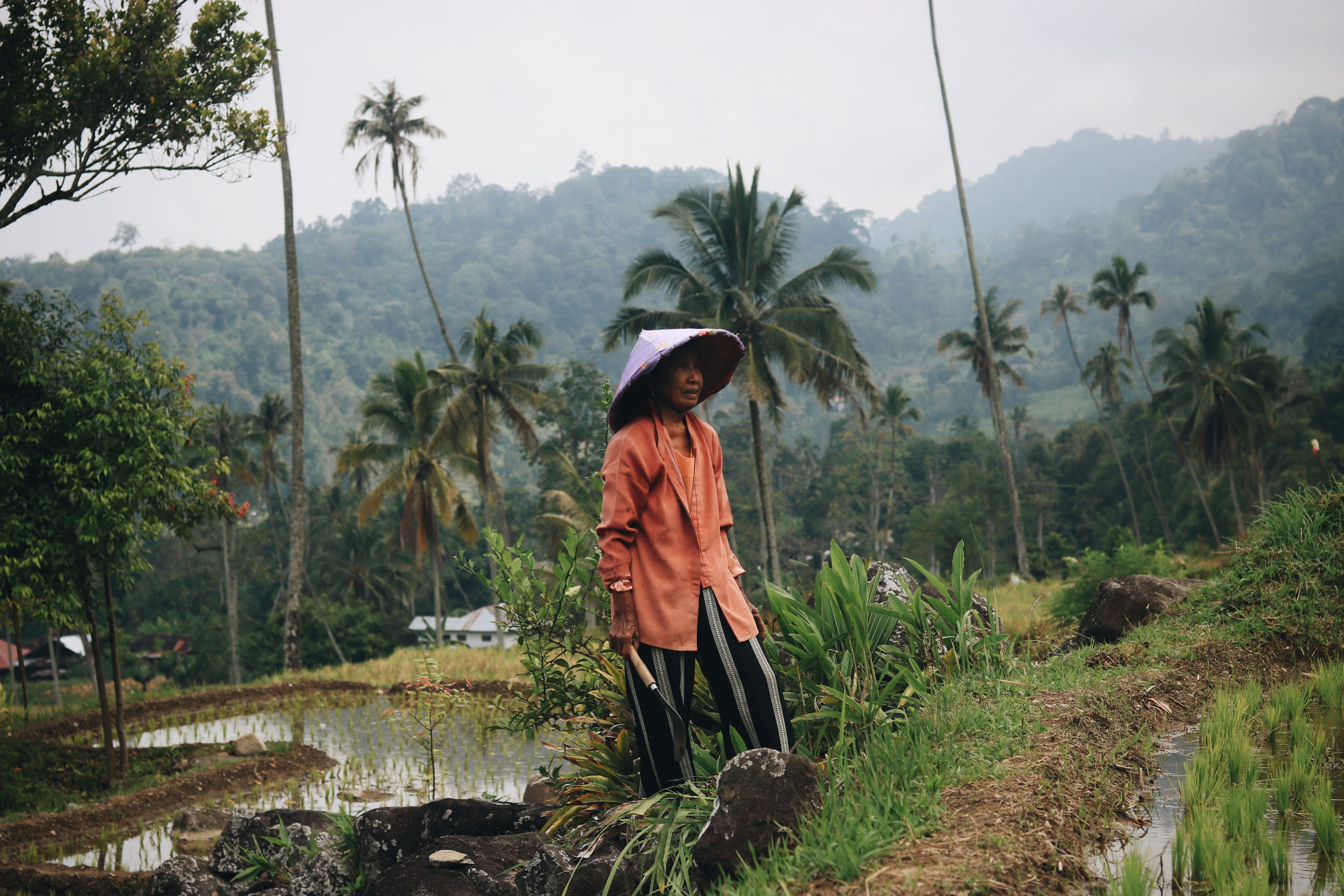 Blog voyage Sumatra Indonésie