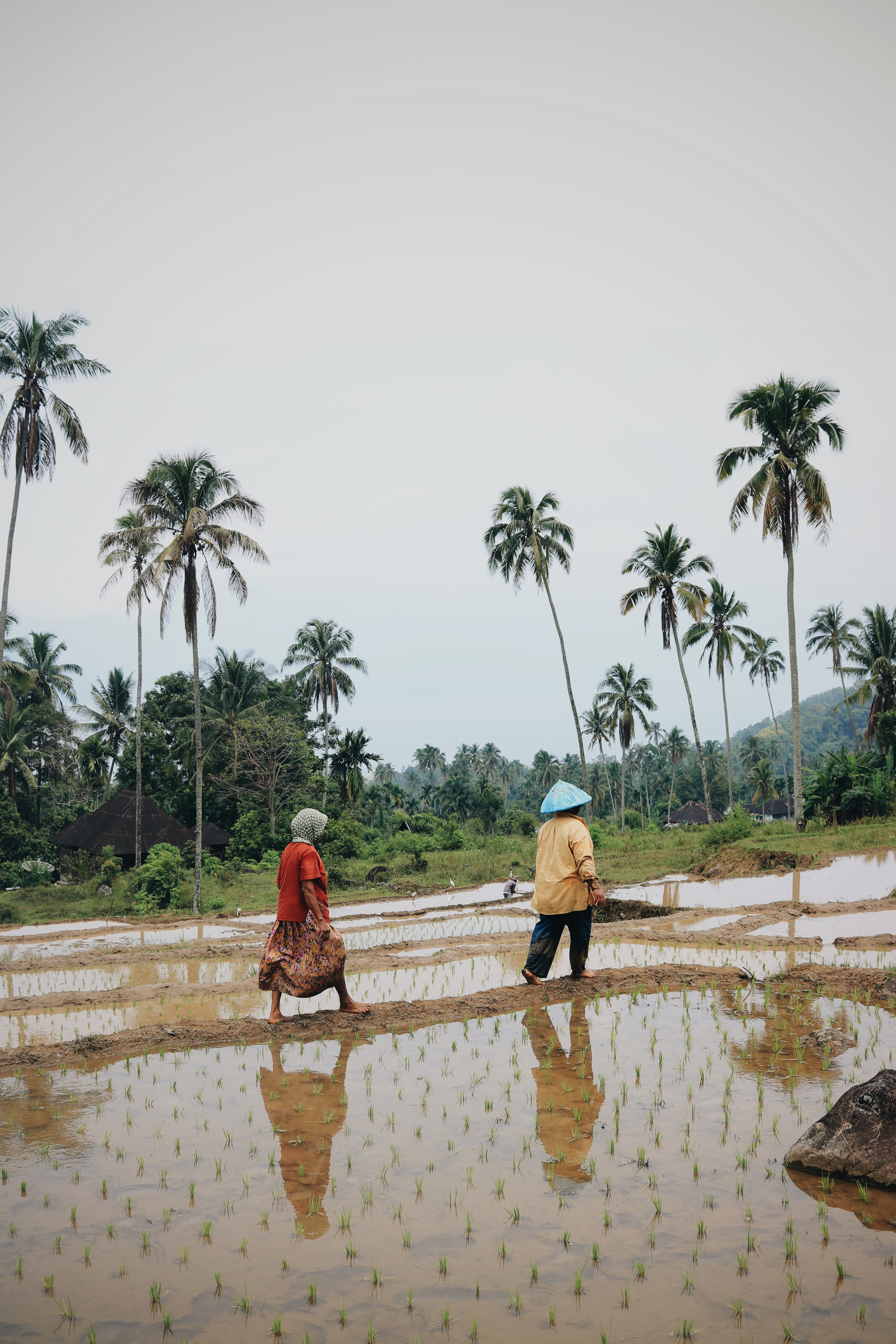 Blog voyage Sumatra Indonésie