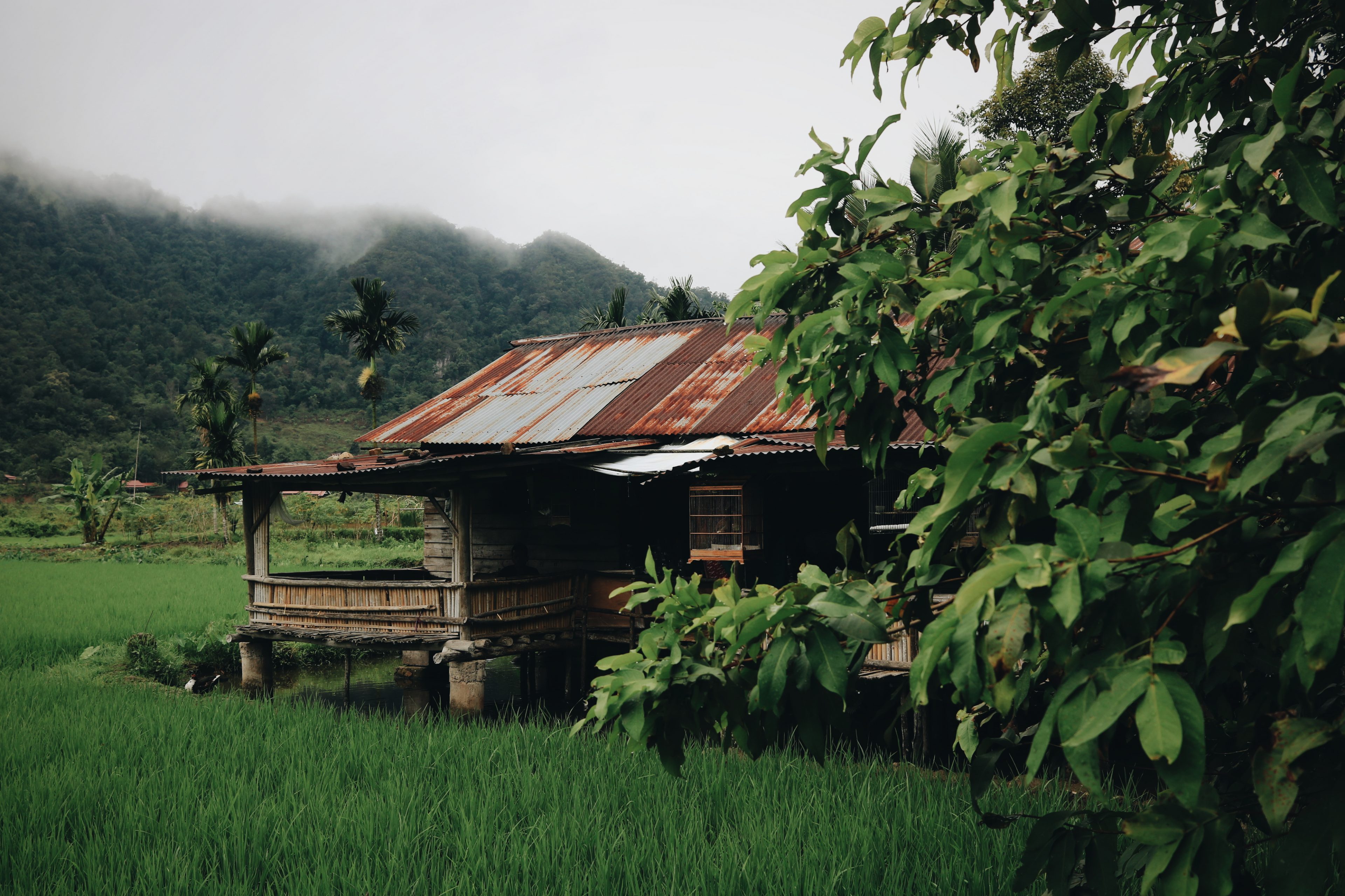 Blog voyage Sumatra Indonésie