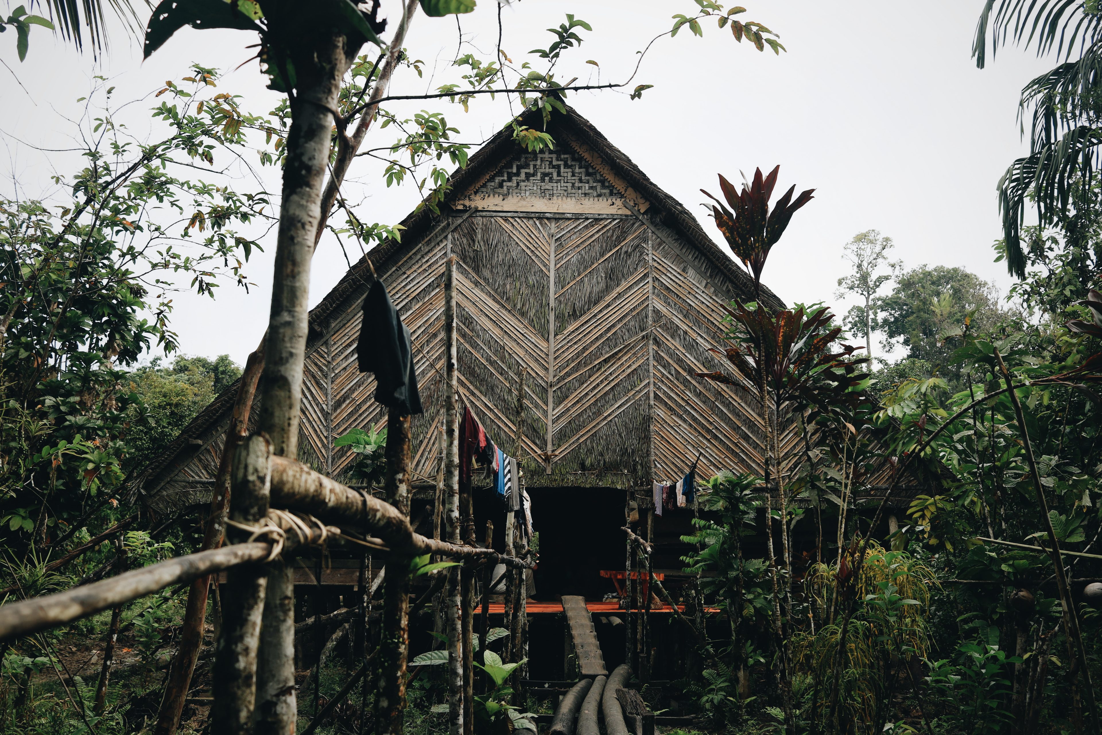 blog voyages en immersion sumatra