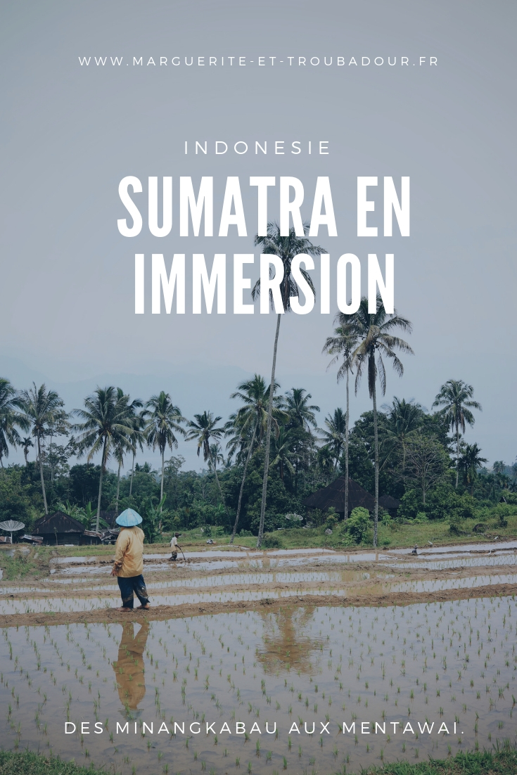 Blog voyage à Sumatra