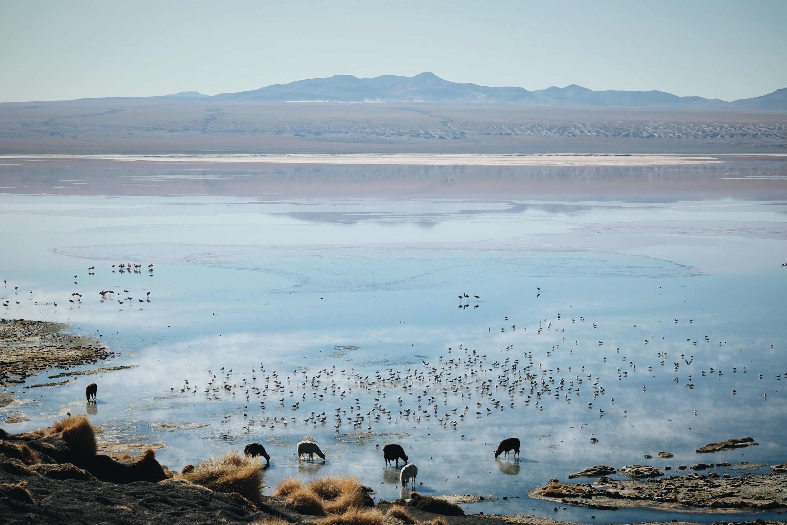 Blog voyage Uyuni Sud Lipez