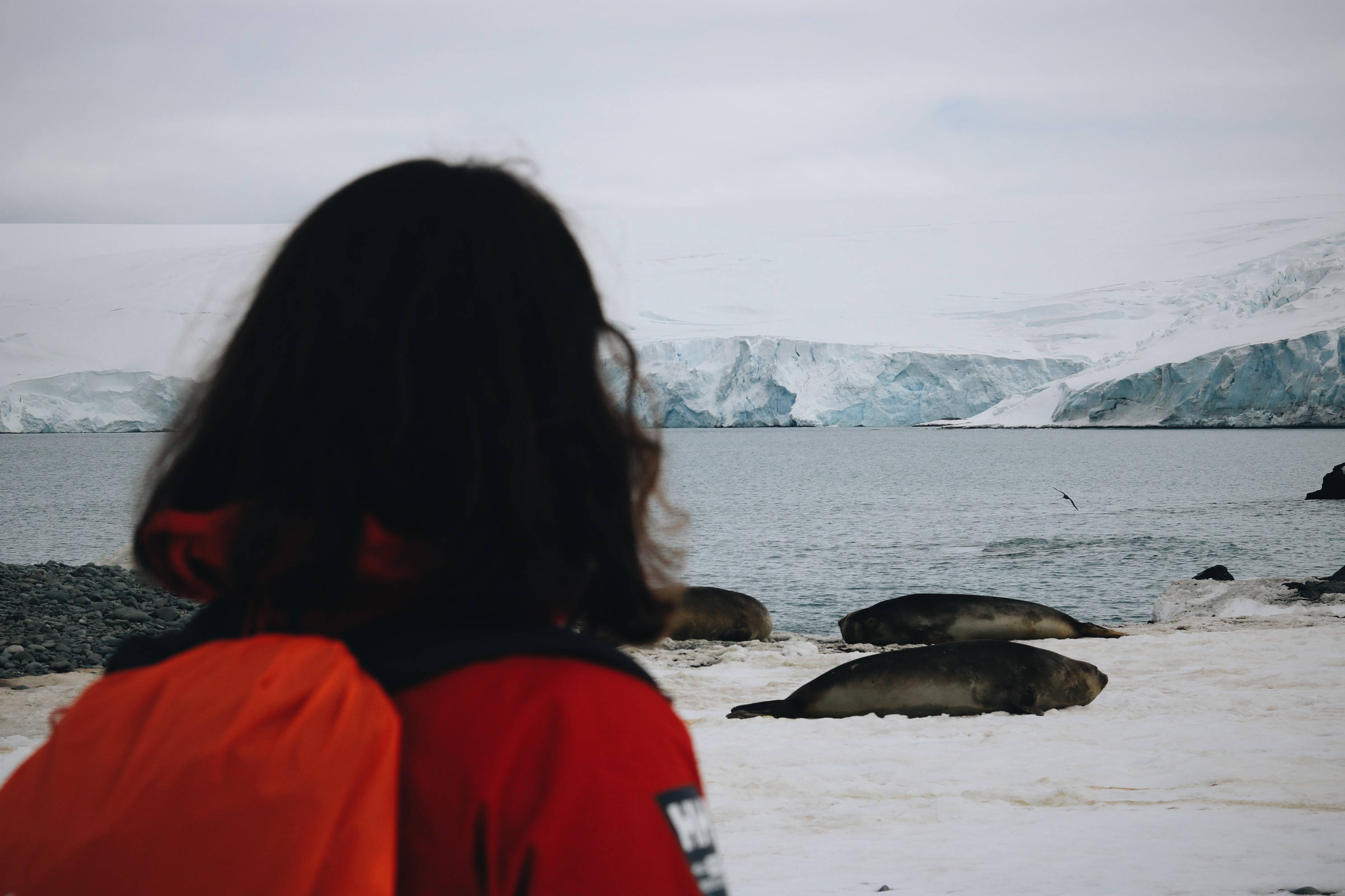 Blog voyage Antarctique