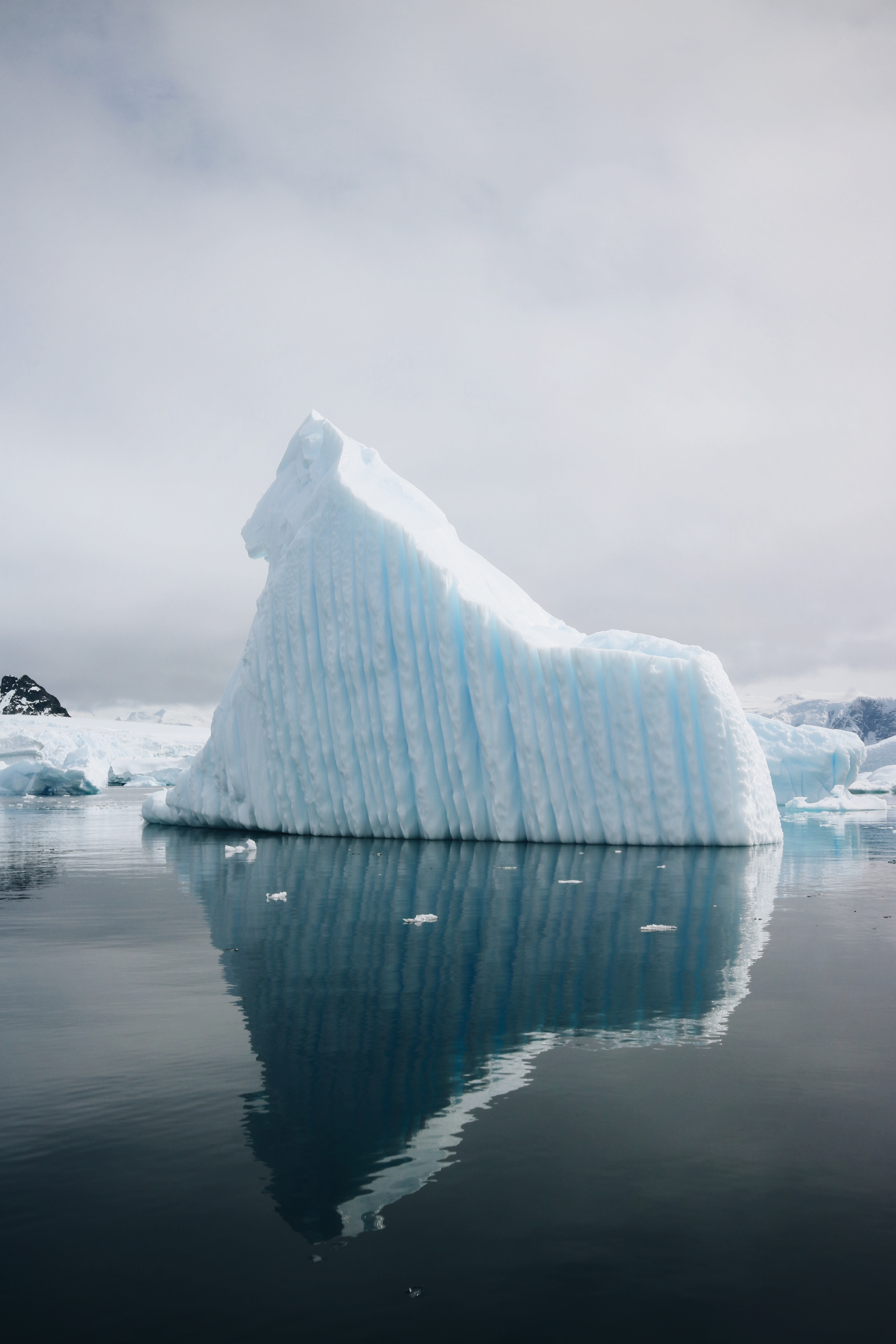 Blog voyage Antarctique