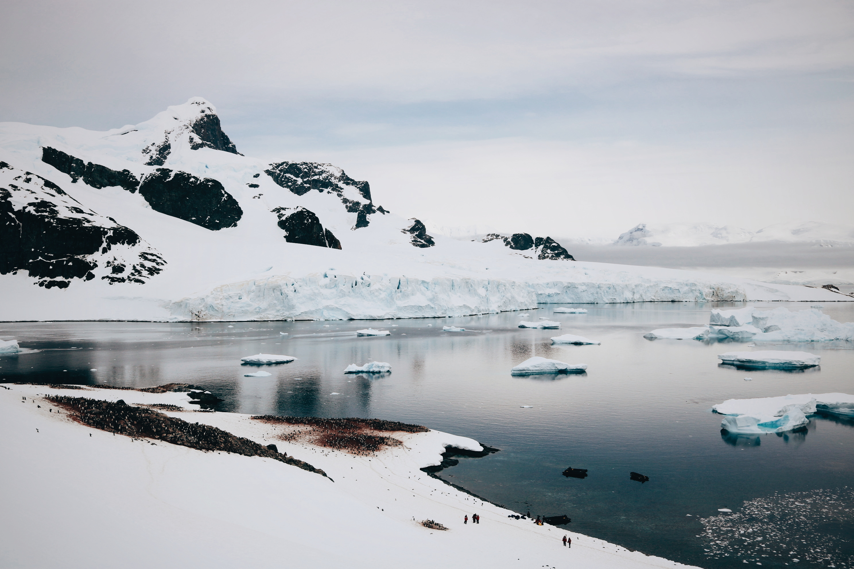 Blog voyage Antarctique