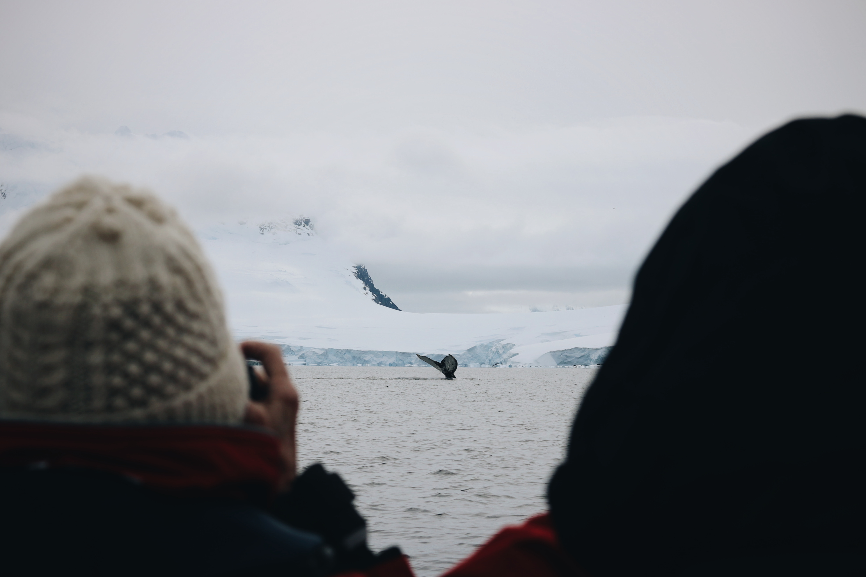 Blog voyage Antarctique