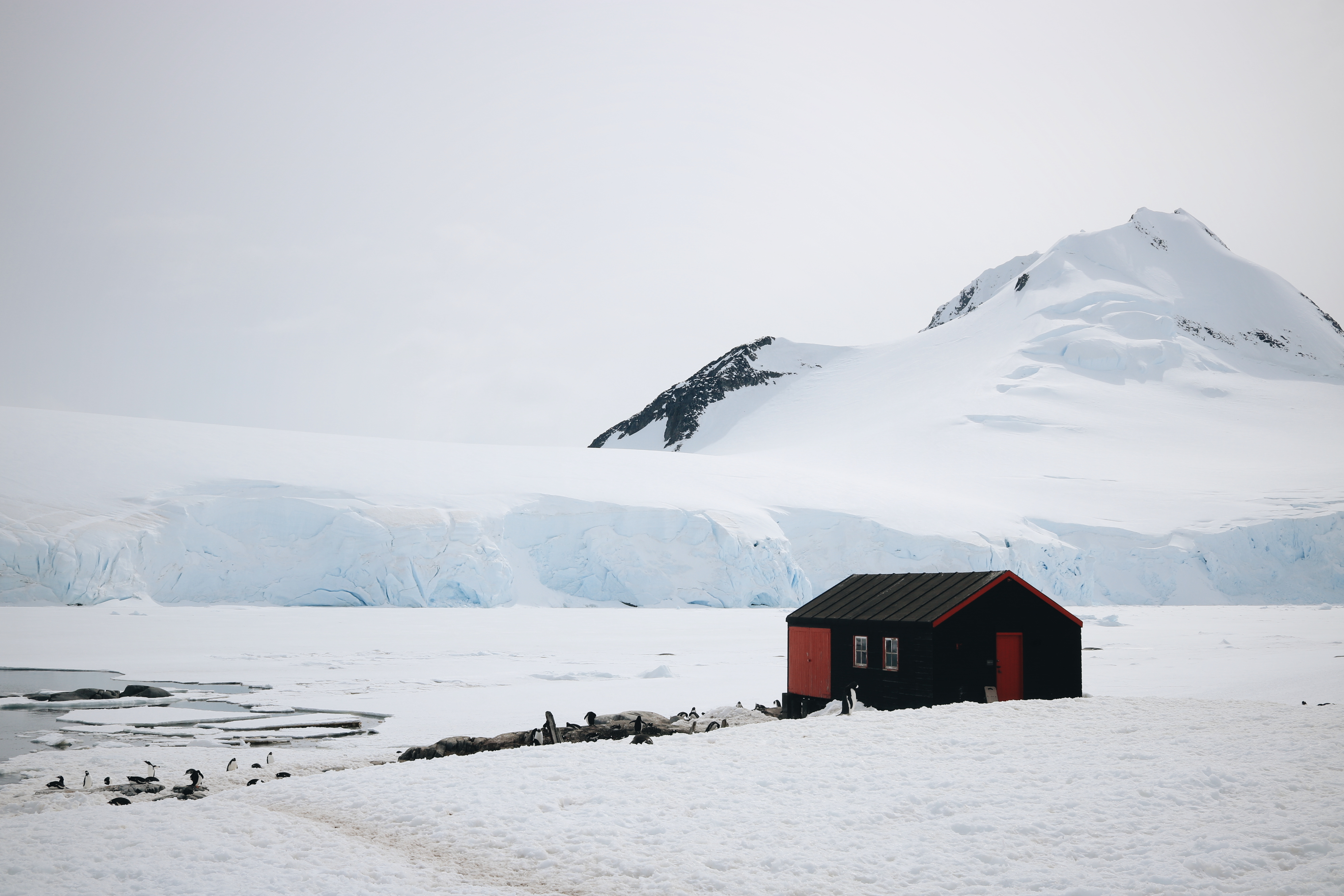 Blog voyage Antarctique