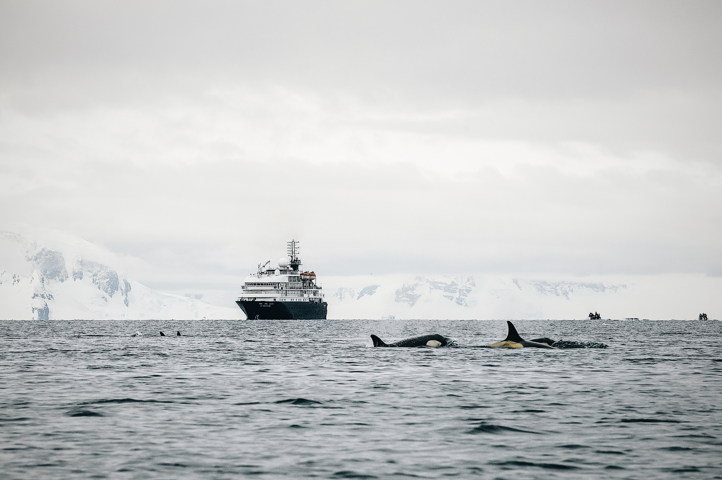 Blog voyage Antarctique