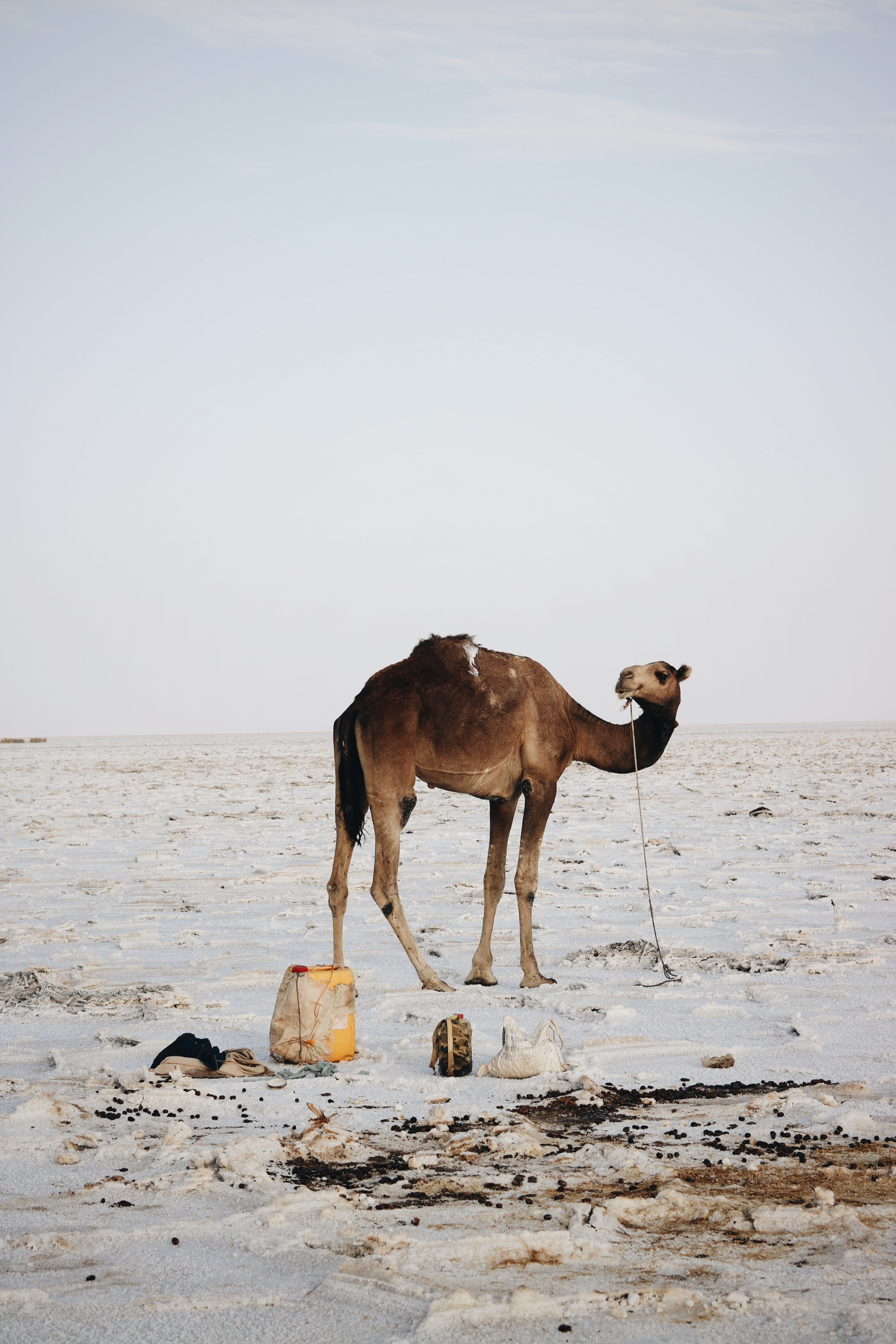 Blog voyage Danakil Ethiopie