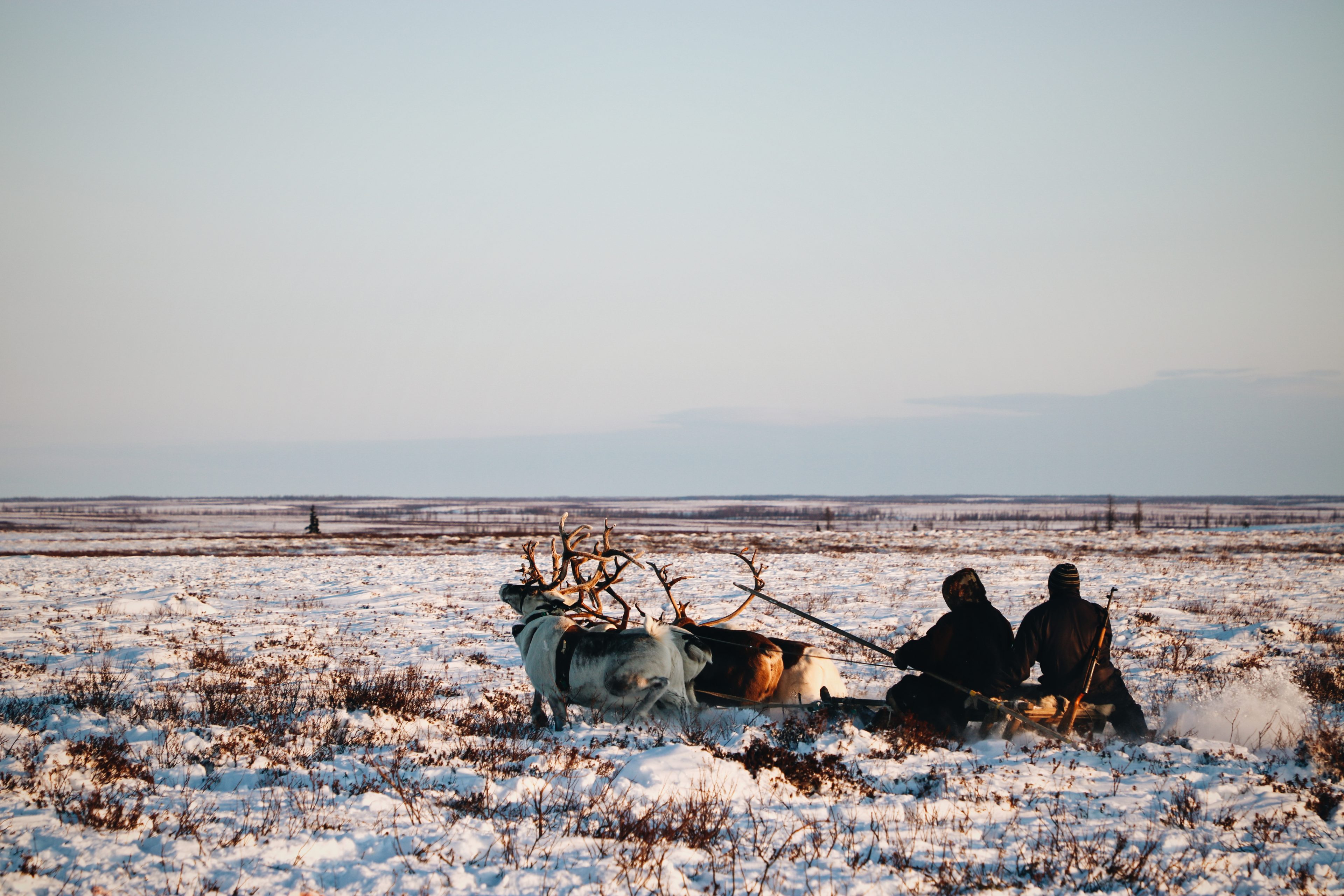 voyage Nenets sibérie