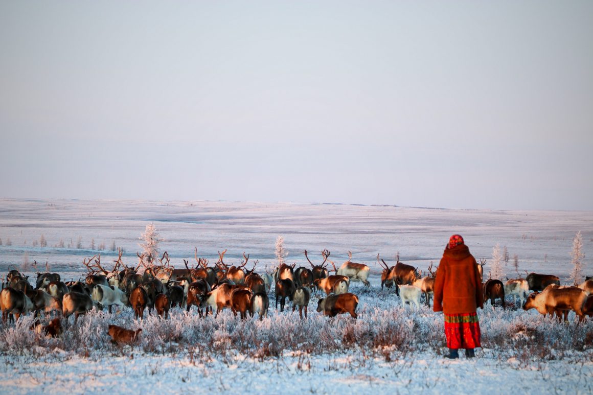 voyage Nenets sibérie voyages en immersion