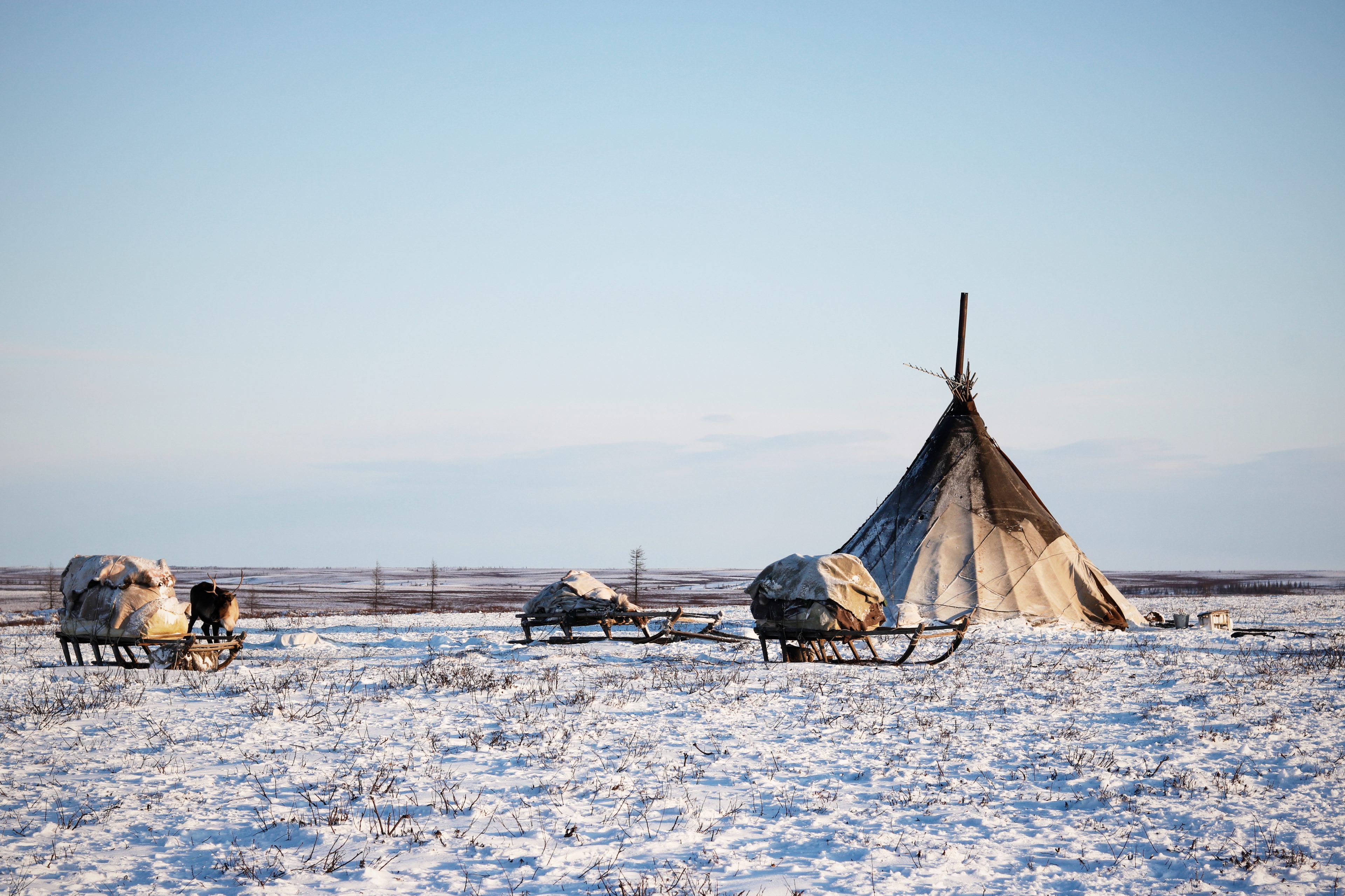 voyage Nenets sibérie