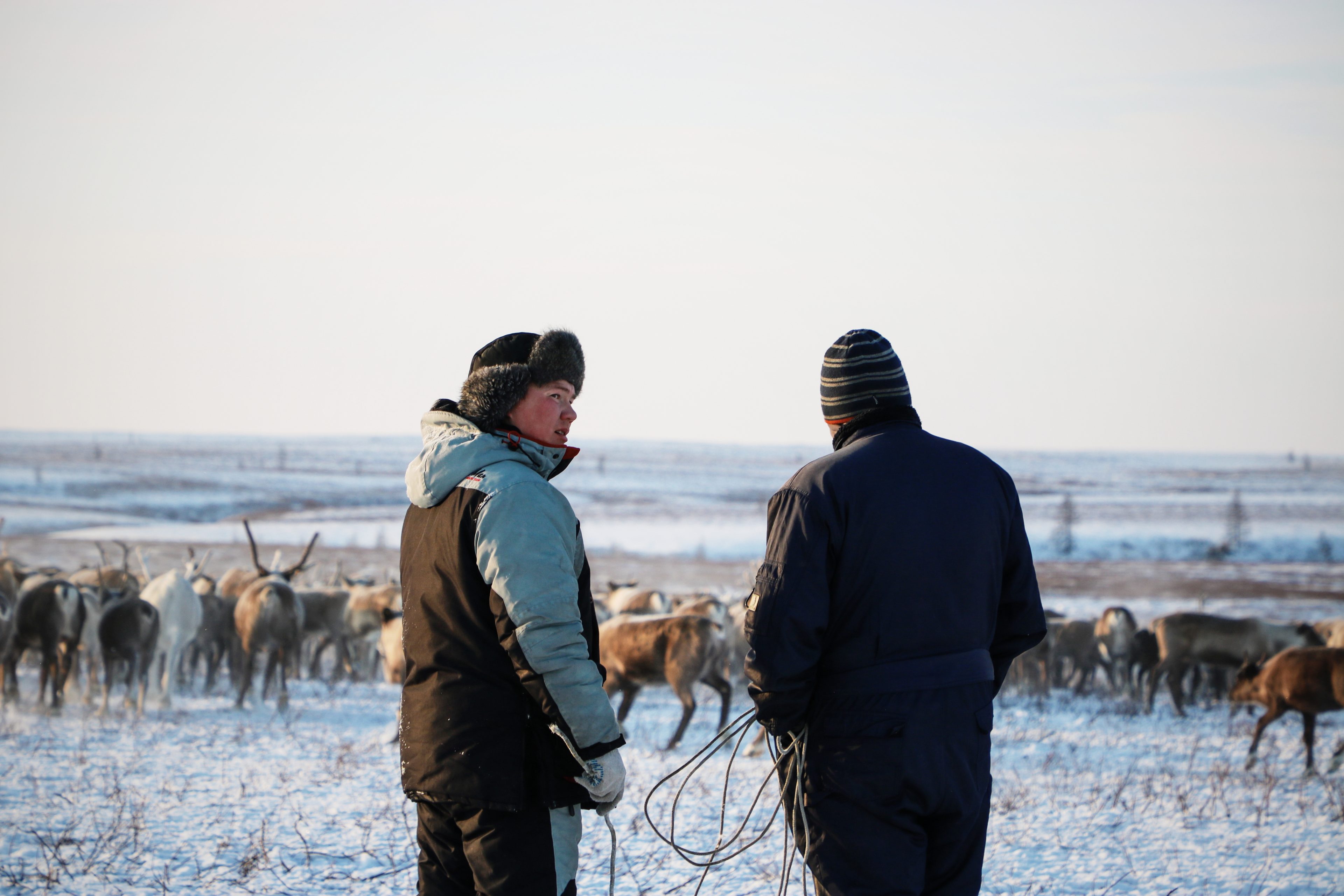 Voyage Yamal Sibérie