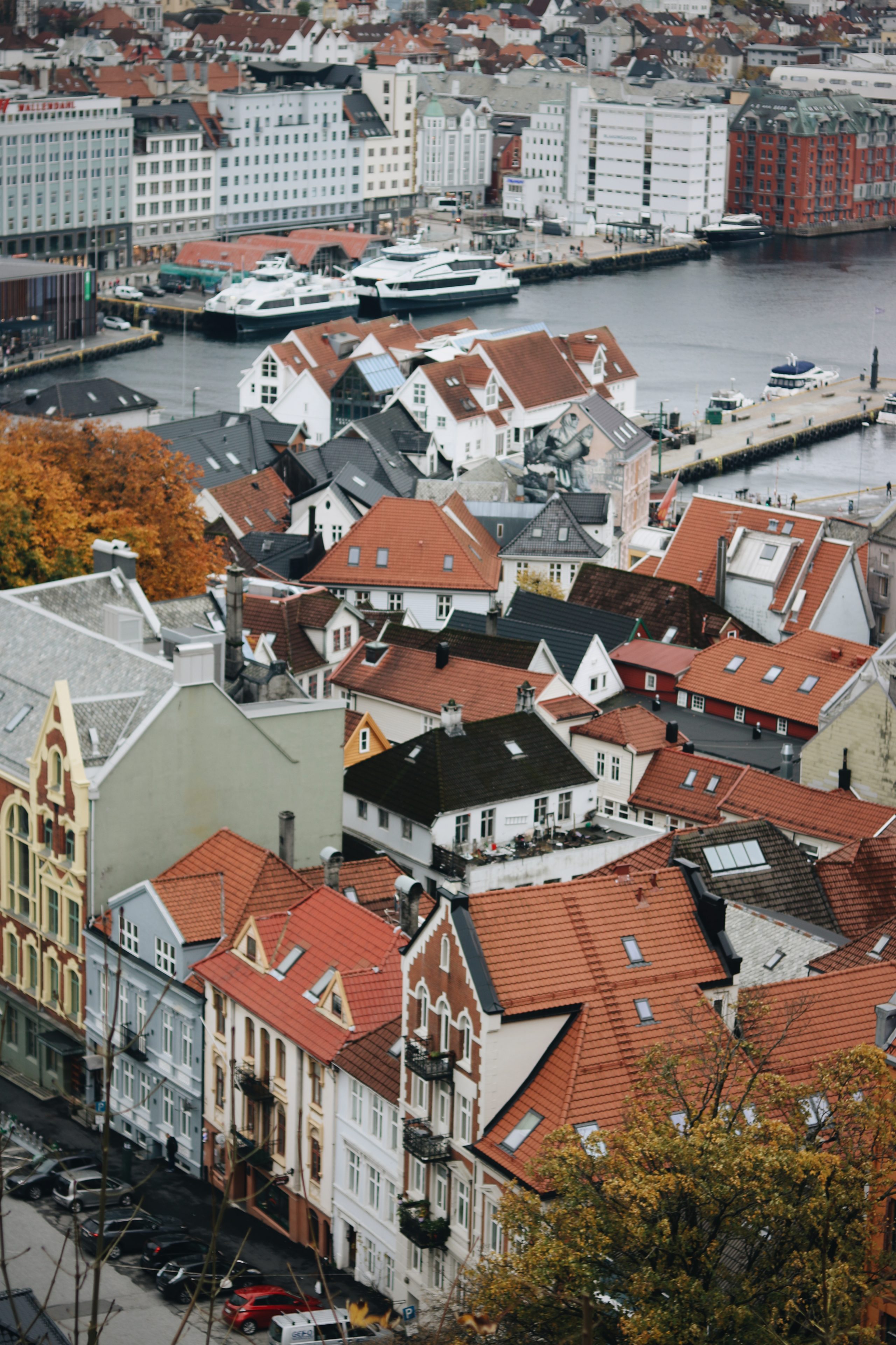 Blog voyage Norvège à Bergen