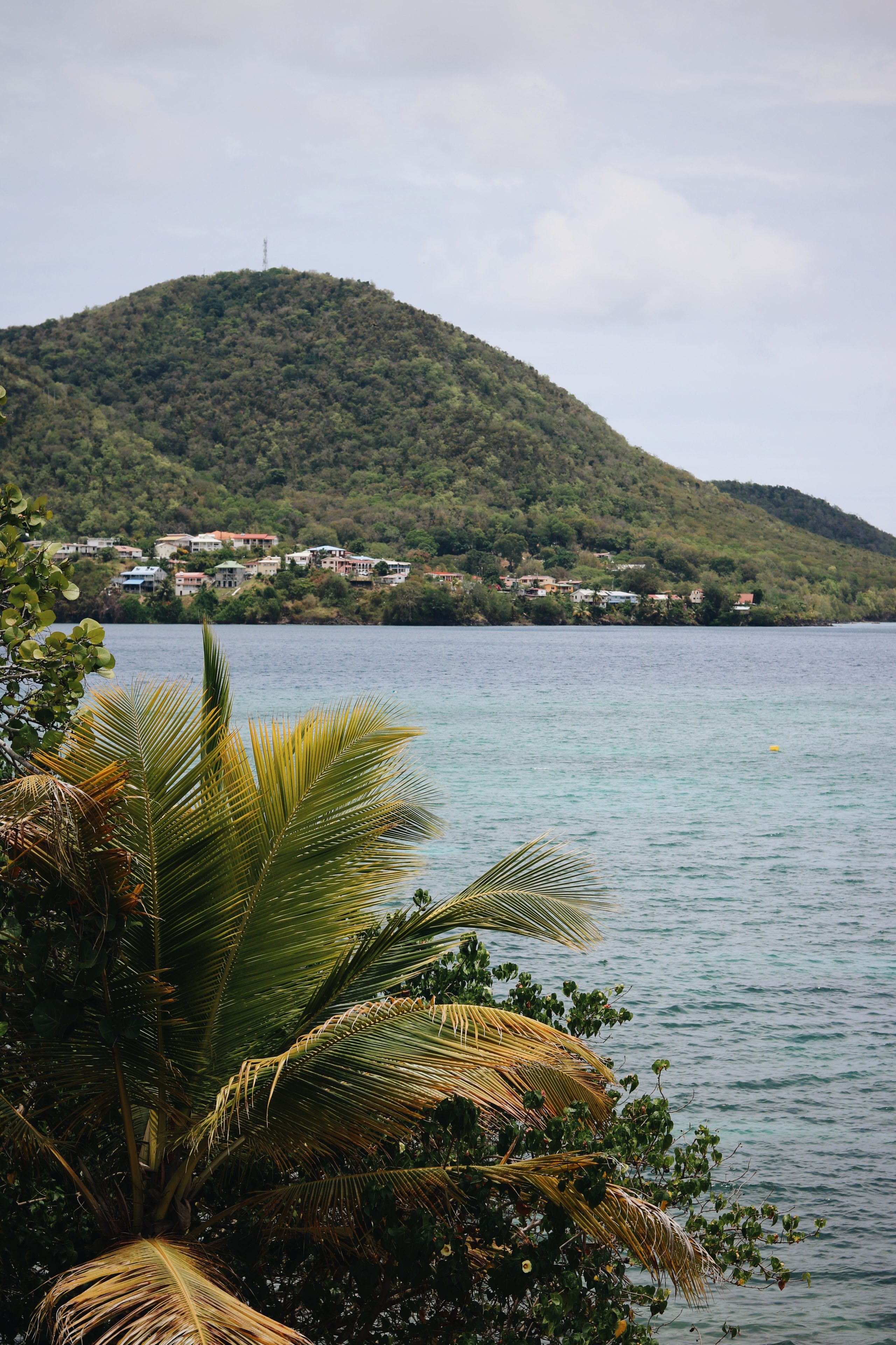 Organiser un voyage en Martinique