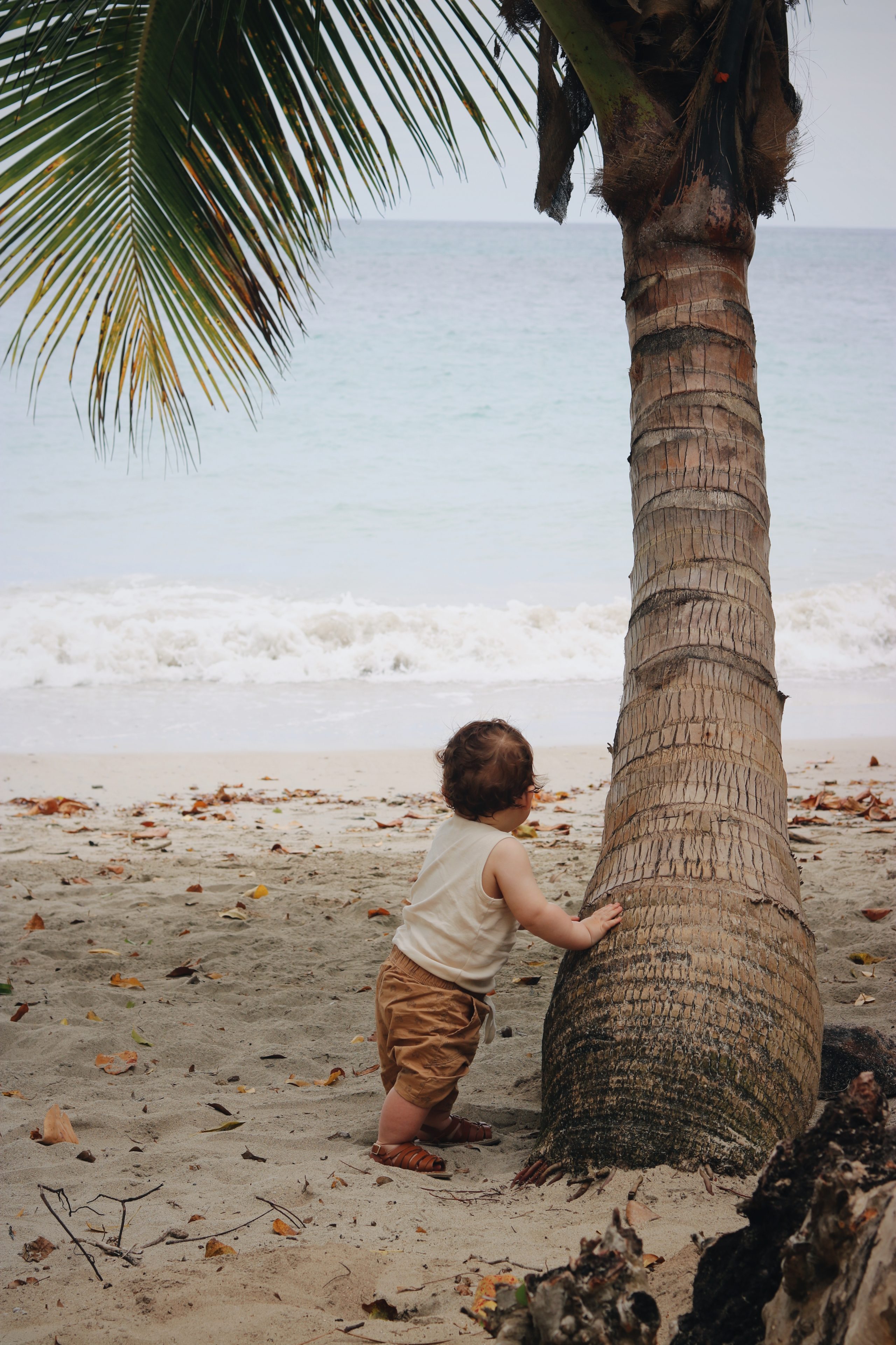 Un voyage en famille en Martinique