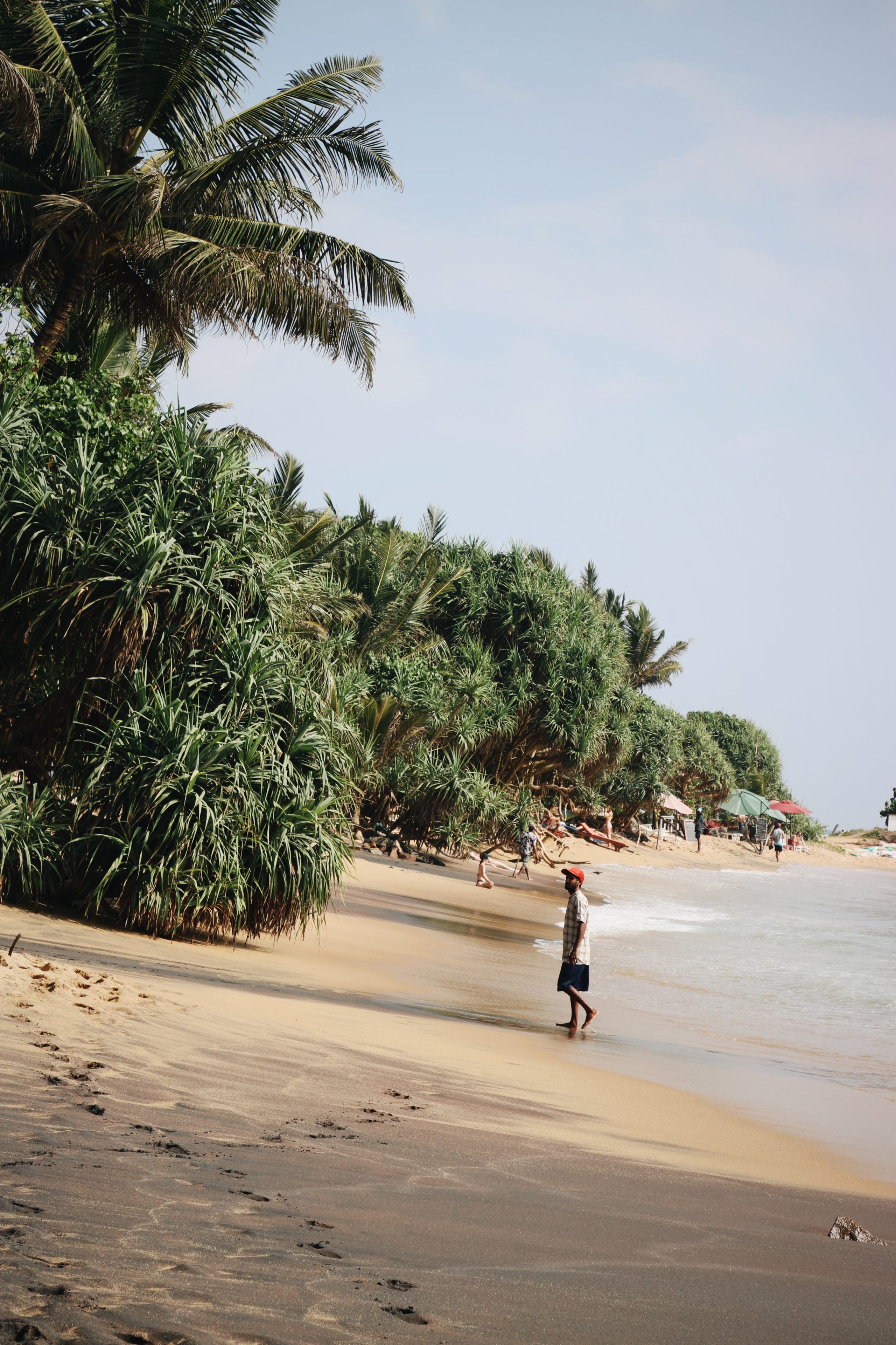 blog voyage en famille au Sri Lanka