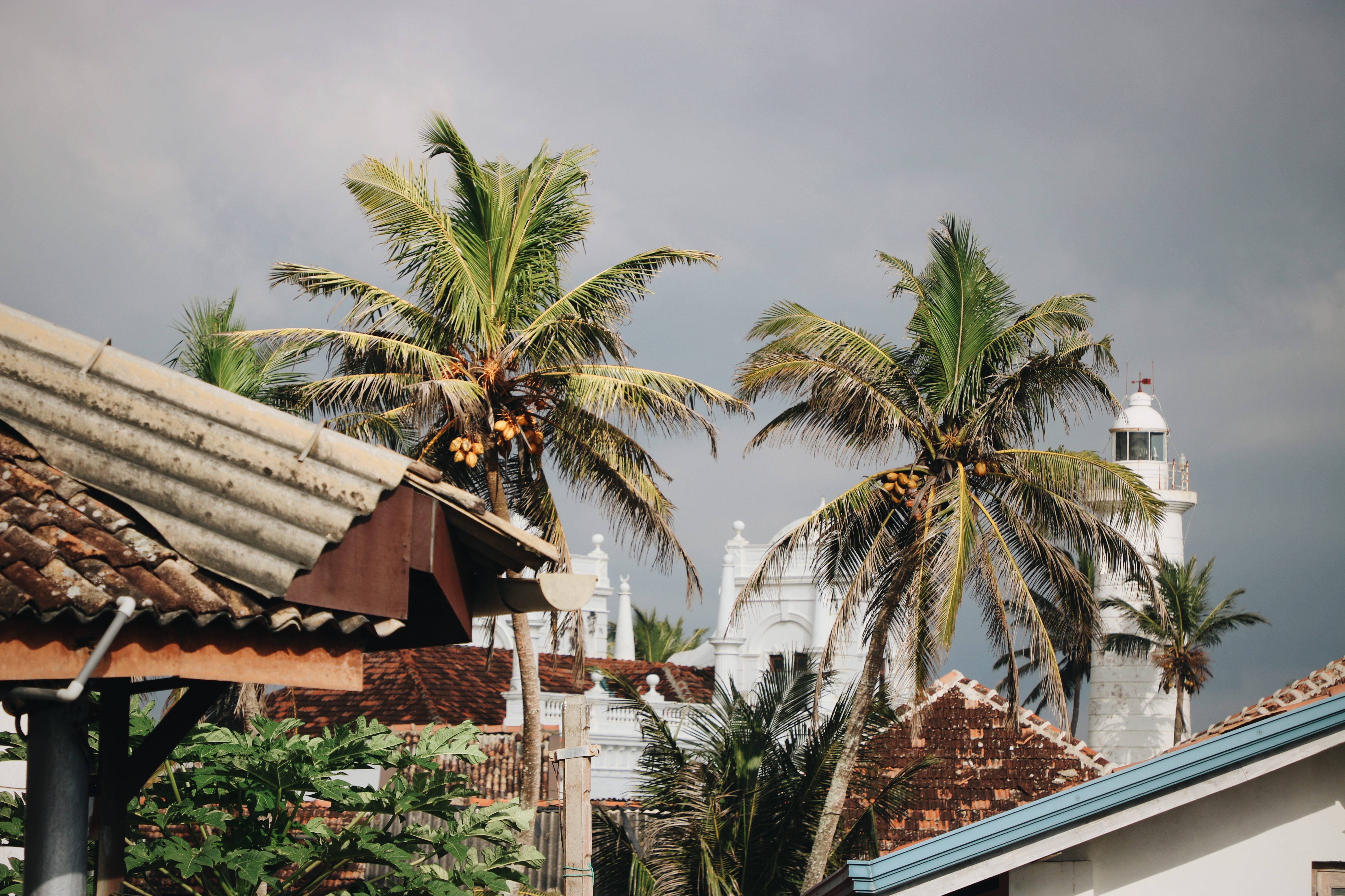 blog voyage en famille au Sri Lanka