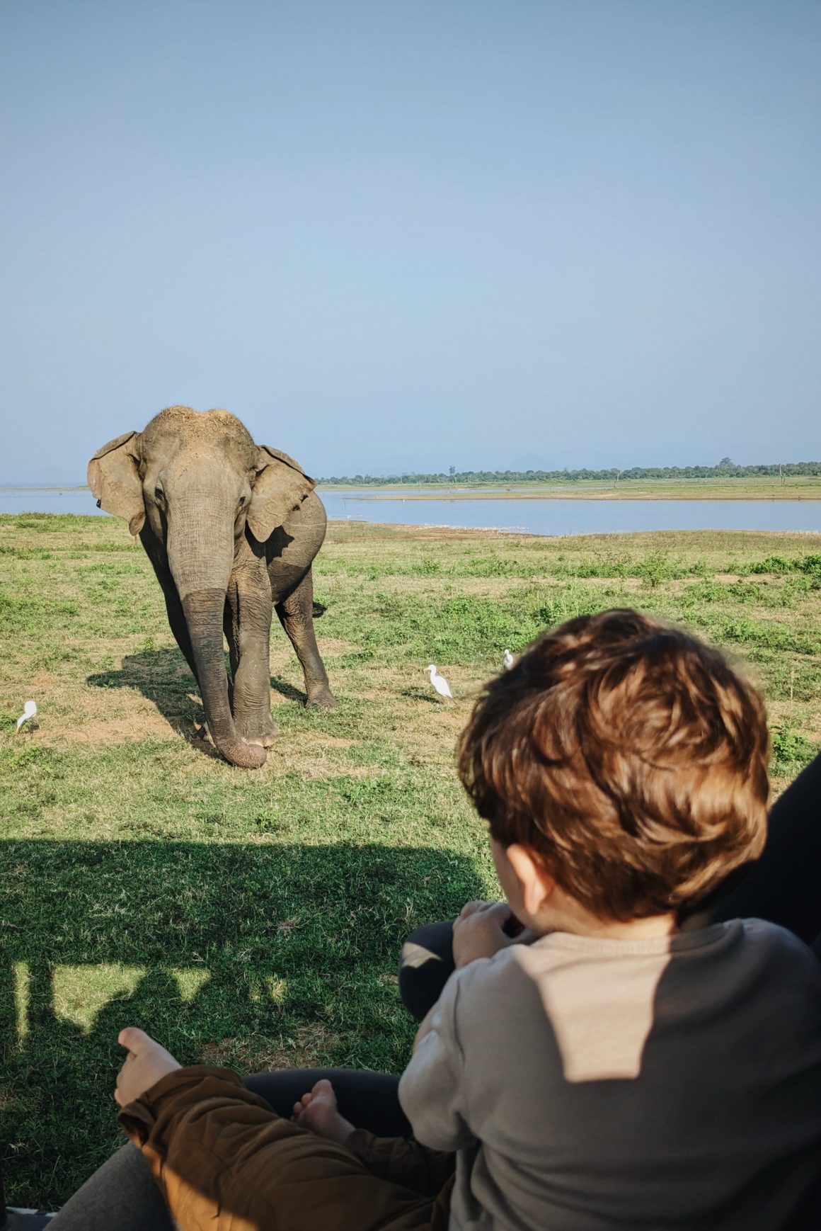 blog voyage en famille au Sri Lanka