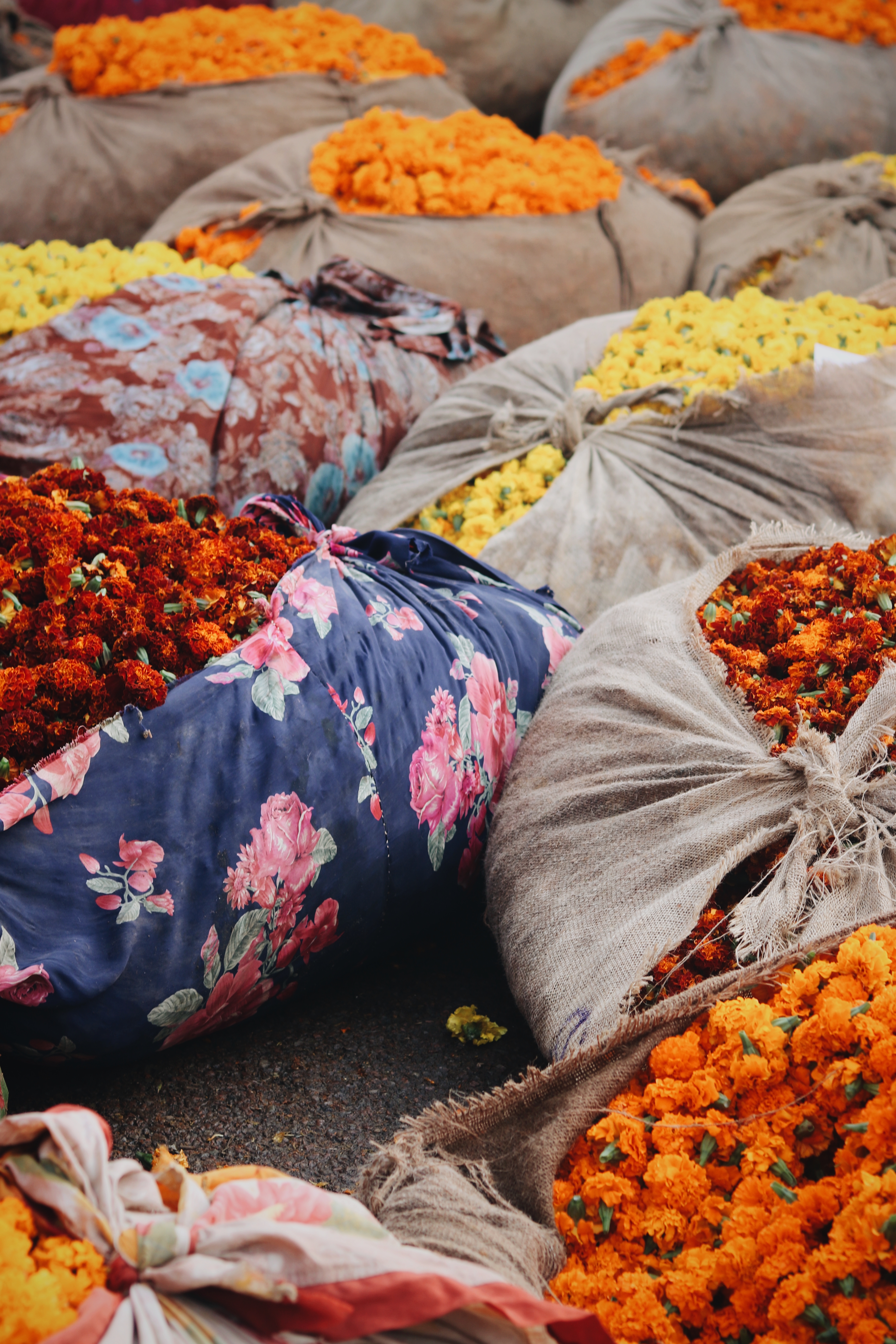 Blog voyage Jaipur en Inde