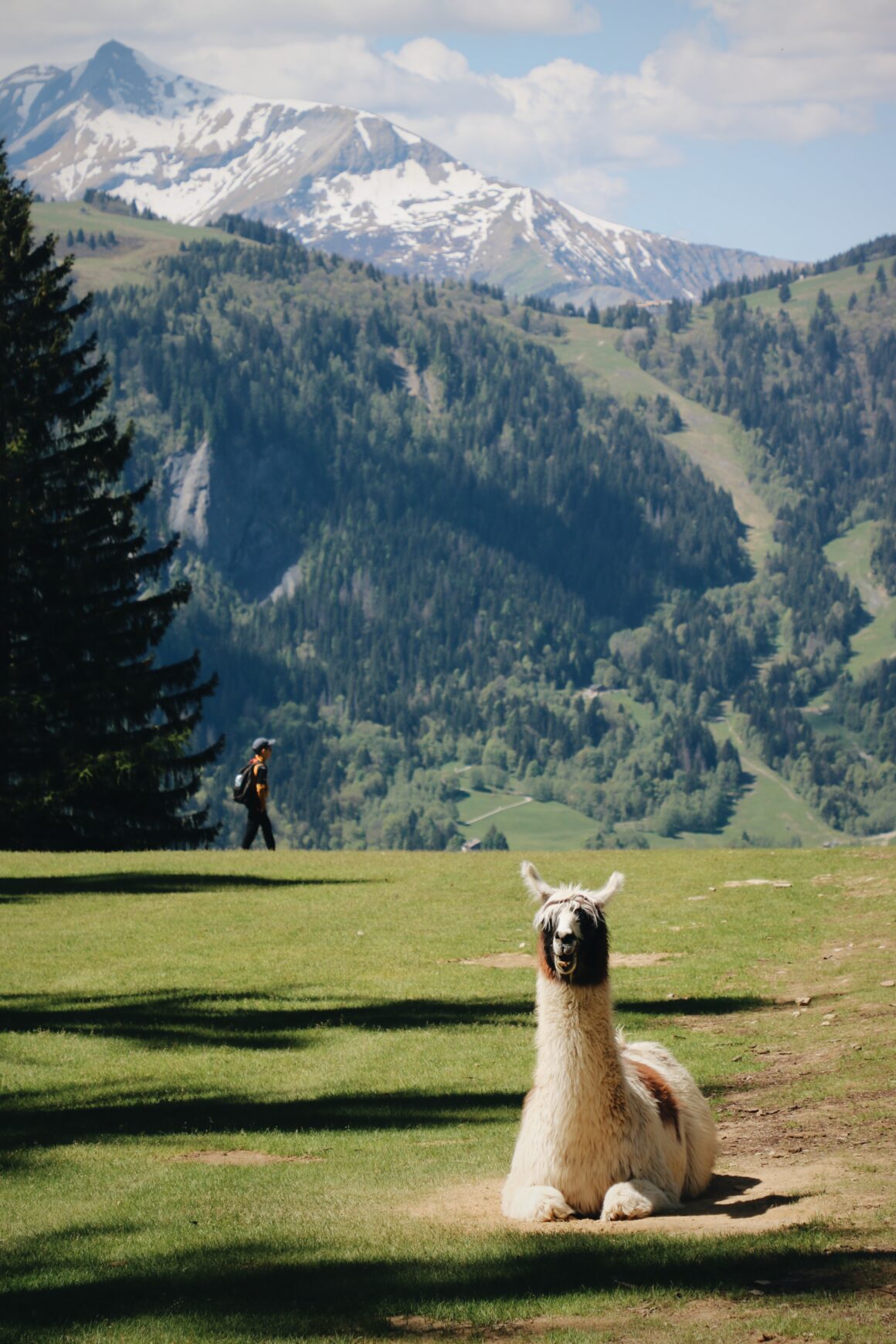 Week-end aux Houches - Parc de Merlet