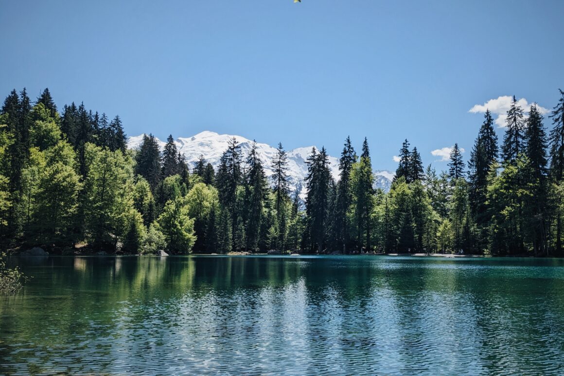 Blog voyagr famille - Que faire aux Houches ?