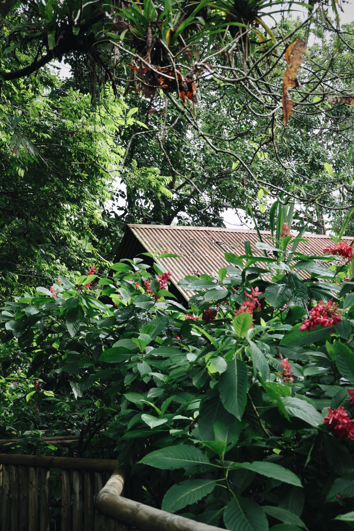 Blog voyages Costa Rica en famille Tortuguero