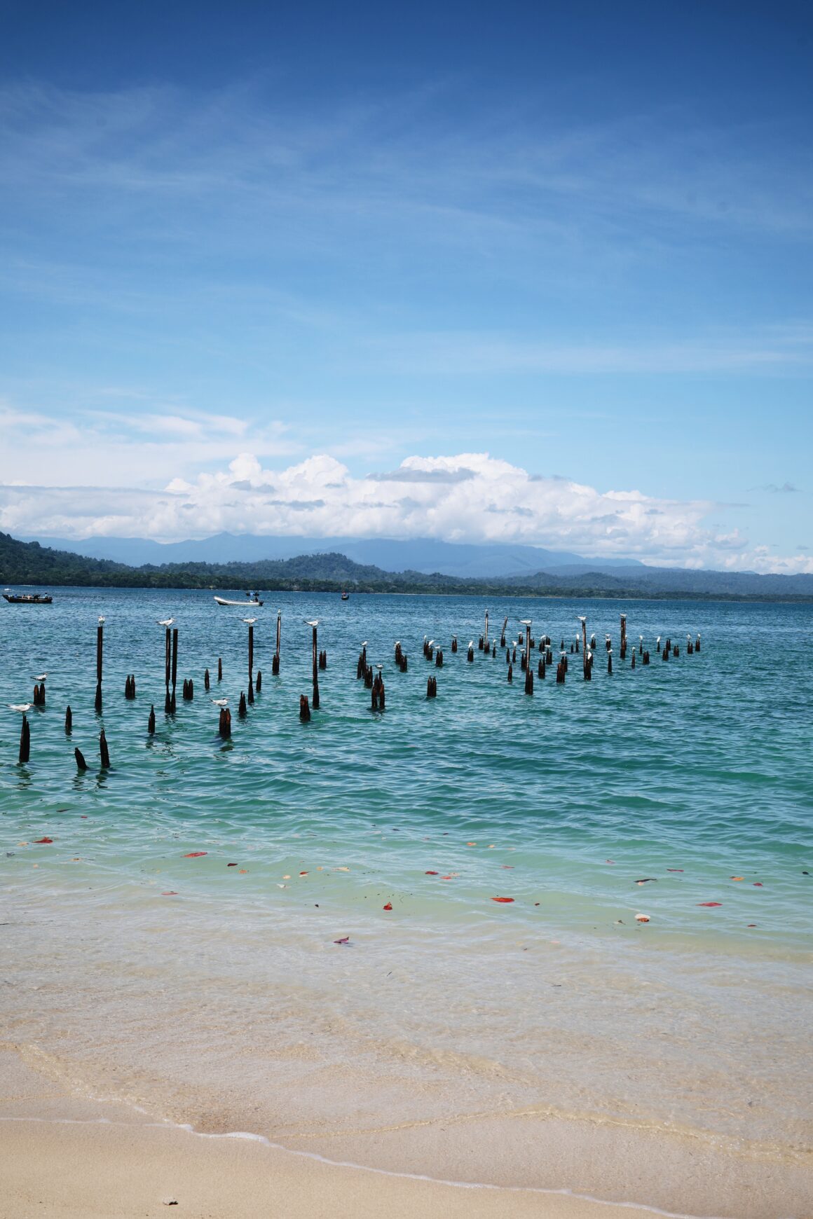 Blog voyages Costa Rica en famille Cahuita