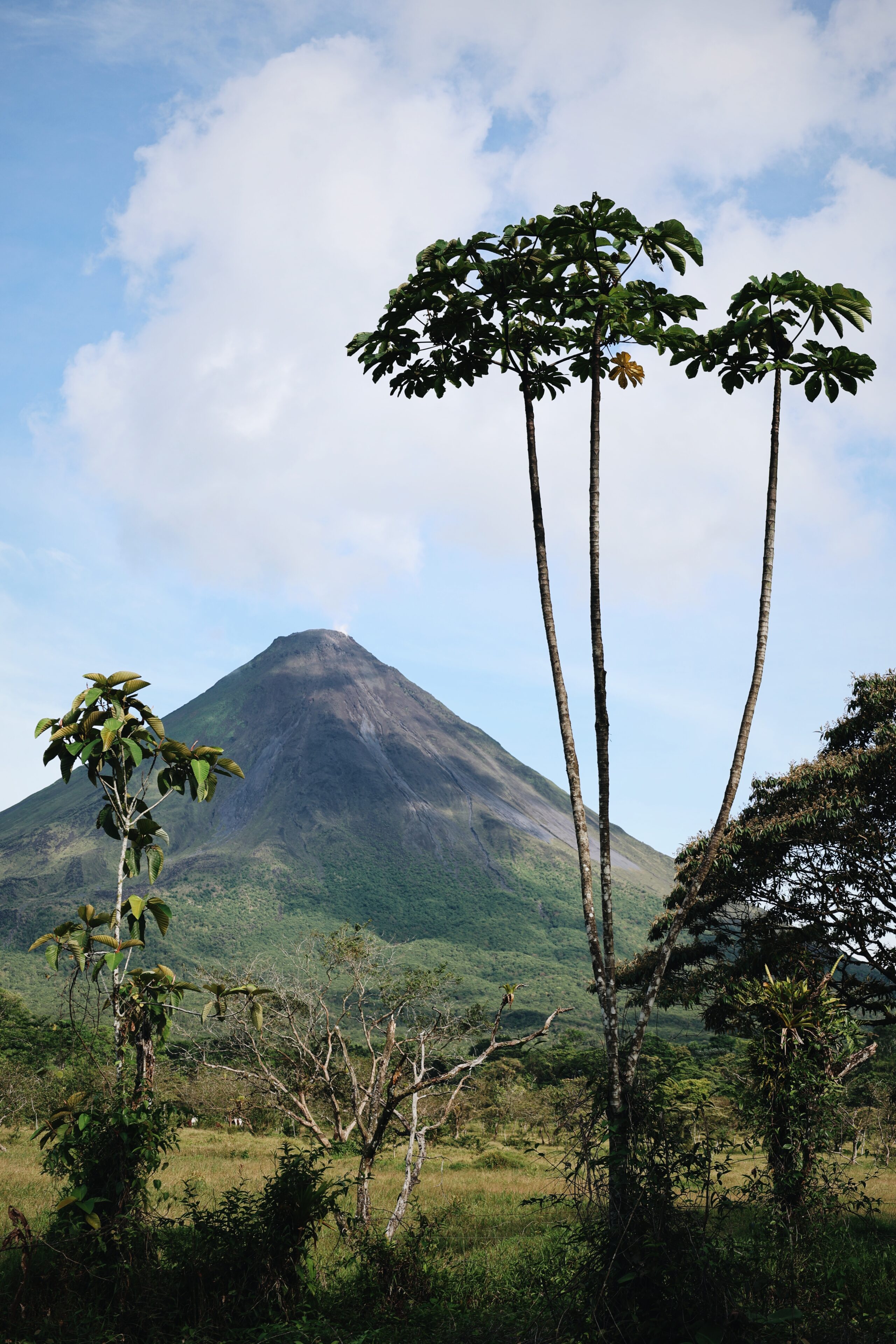 Voyage en famille au Costa Rica La Fortuna