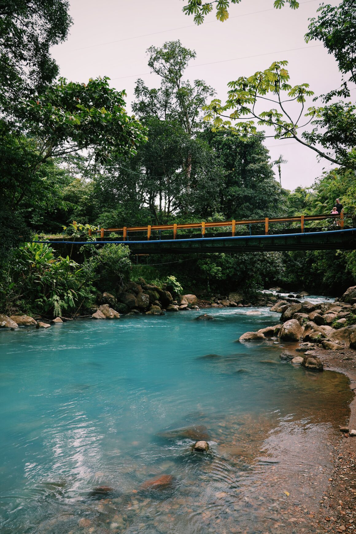 Blog voyages Costa Rica en famille Tenorio
