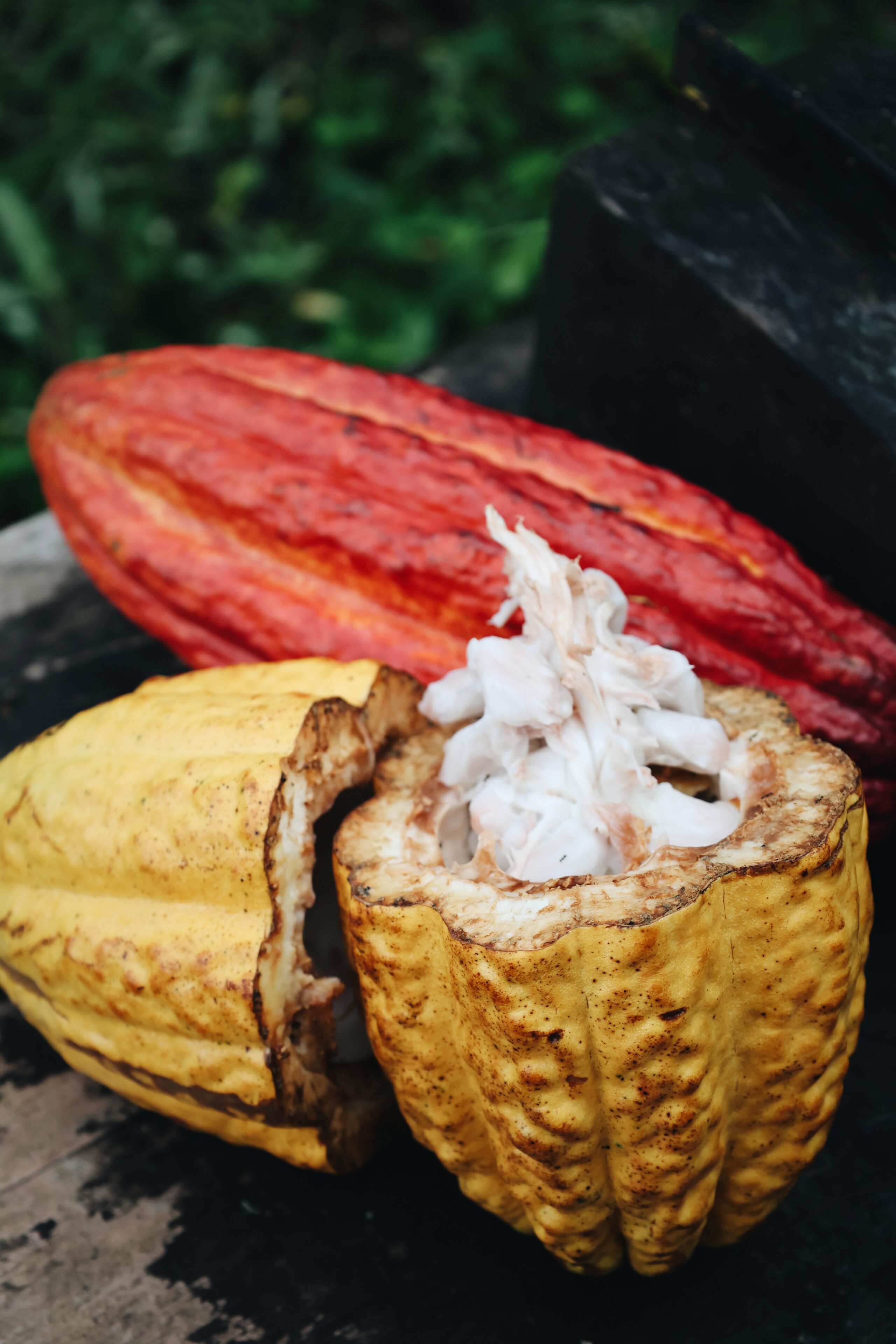 Blog voyage Costa Rica